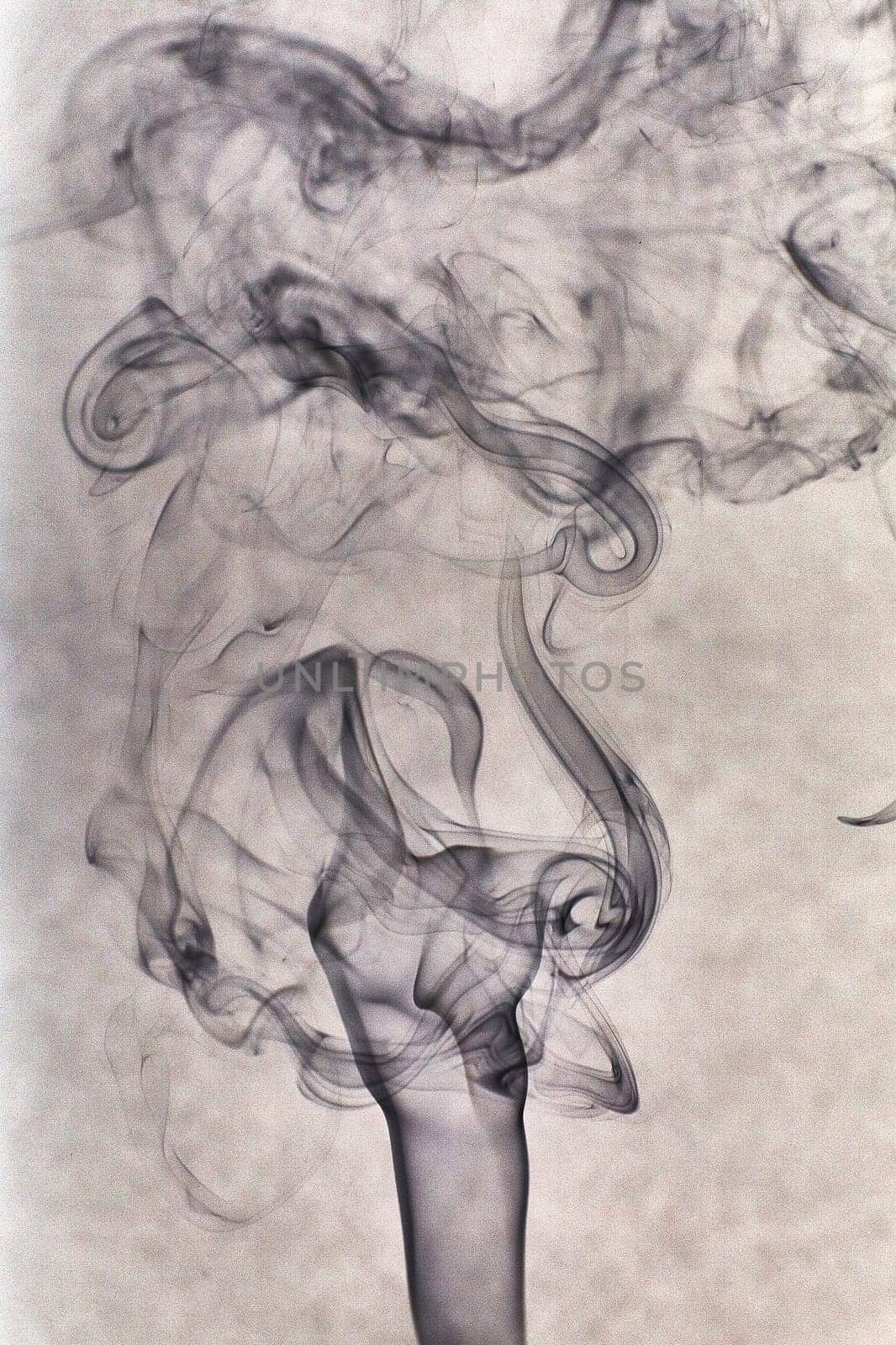Abstract Incense Smoke Patterns in High-Speed Studio Shot by njproductions