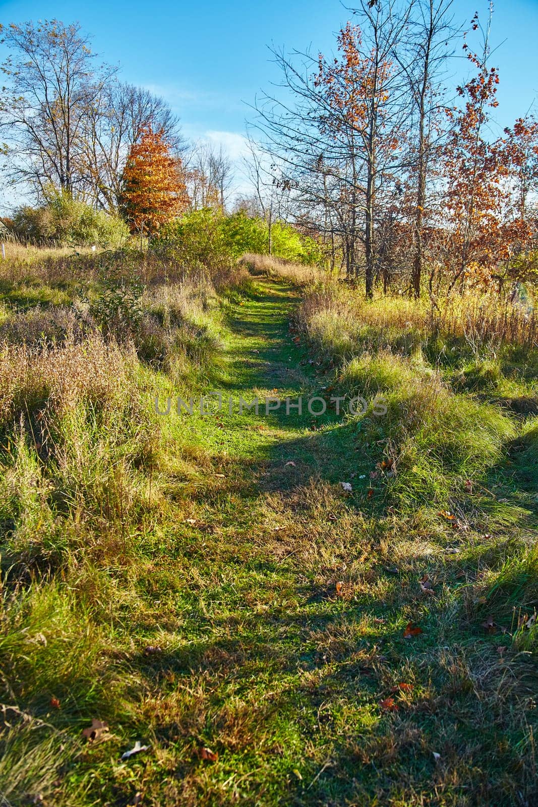 Golden Hour on Serene Autumn Trail in Bicentennial Acres, Indiana by njproductions