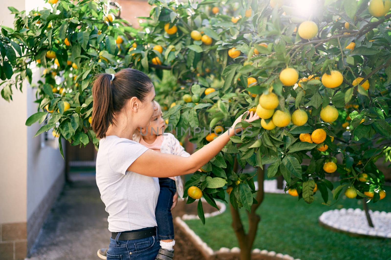 Mom shows tangerines on tree branches in the garden to a little girl in her arms. High quality photo