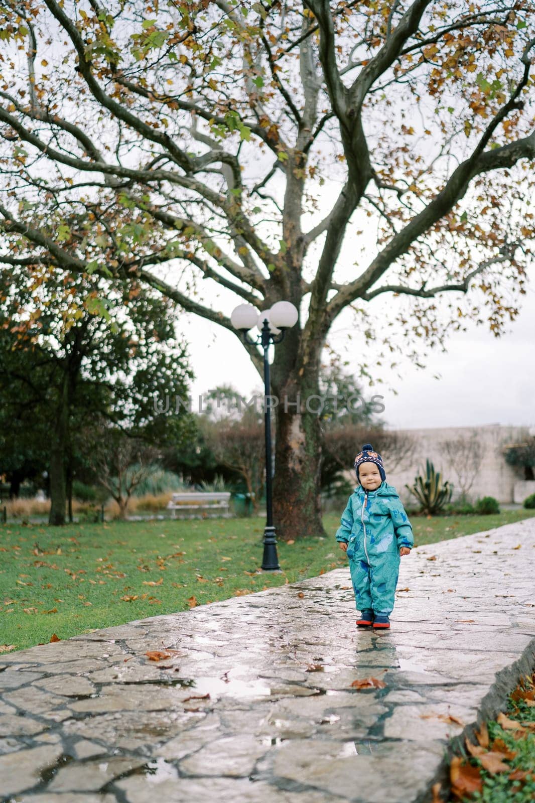 Little girl in overalls stands on a wet paved path in the park by Nadtochiy