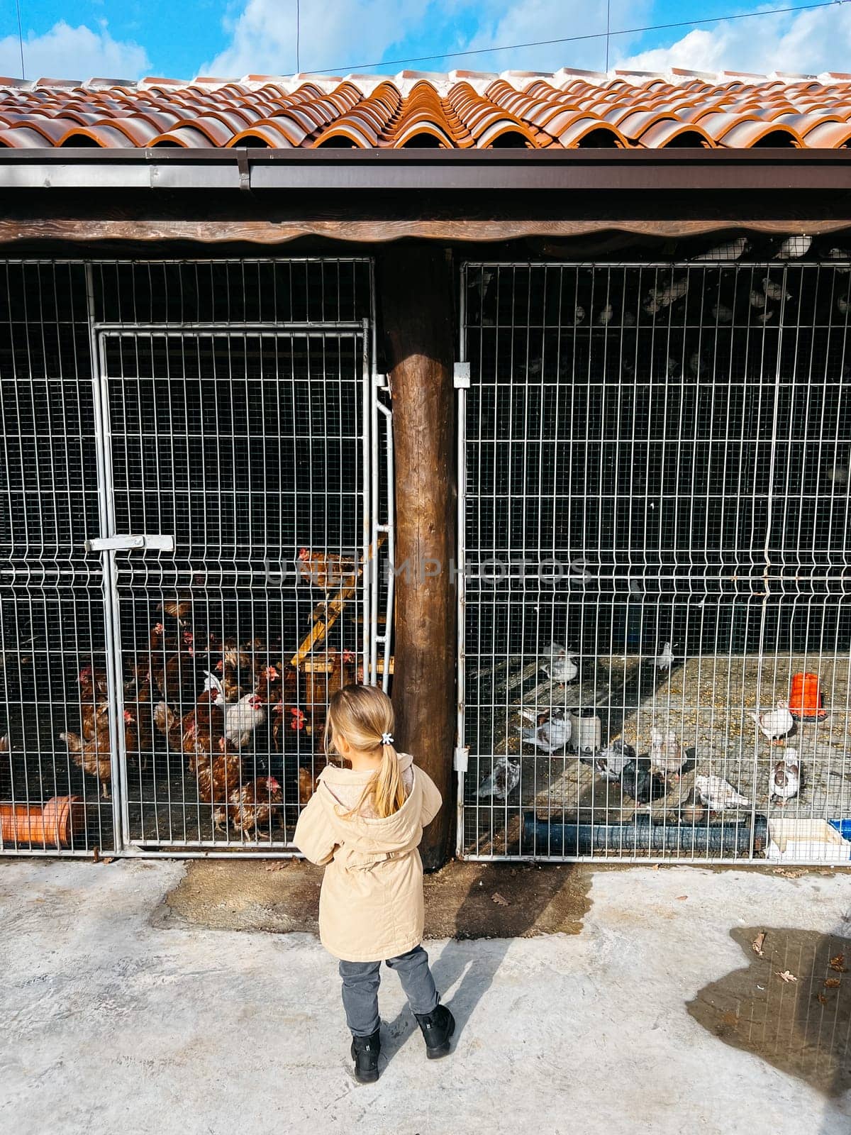 Little girl stands in front of a barn with chickens. Back view by Nadtochiy