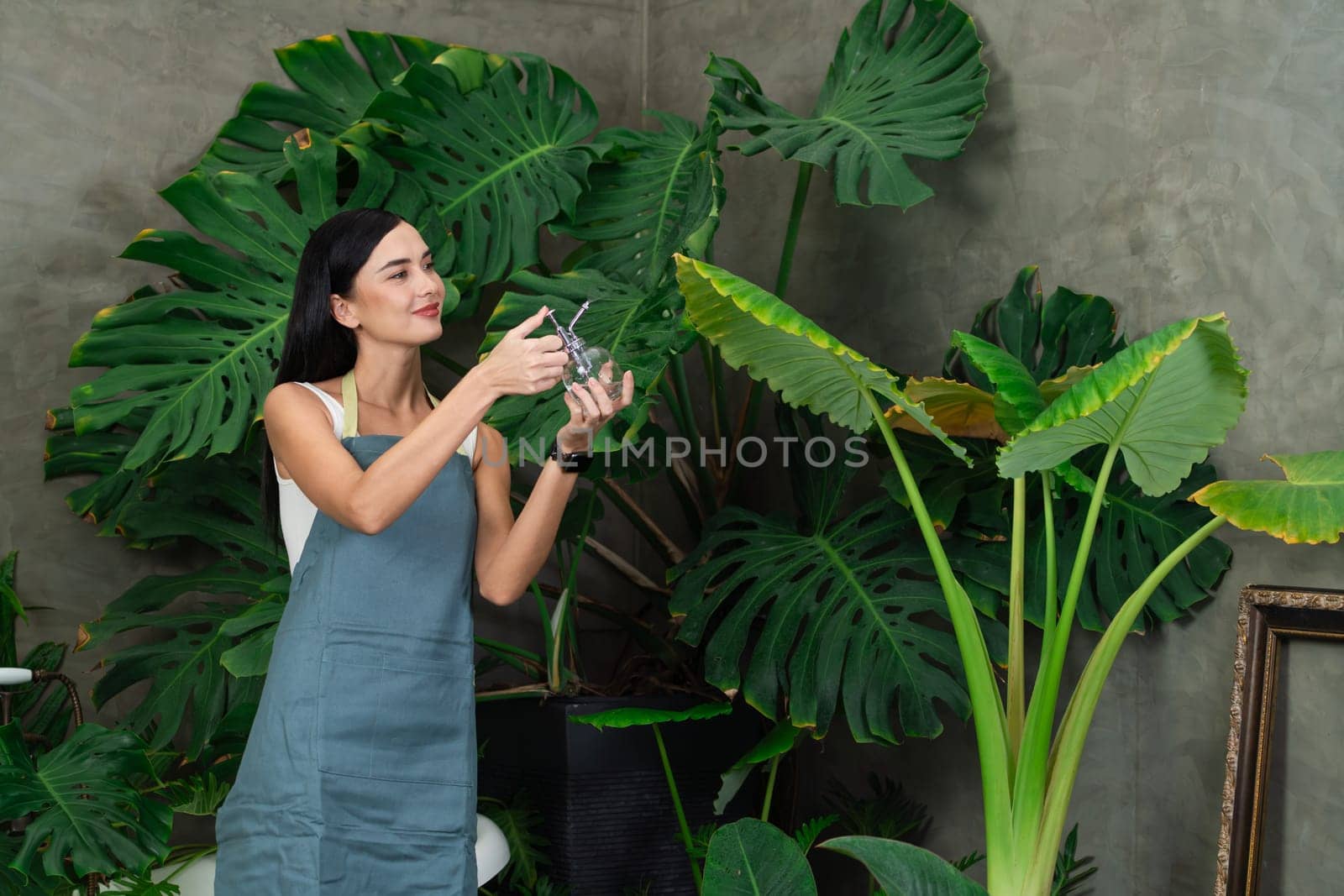 Young female gardener tending and gentle watering to tropical plant in minimalist architectural concrete style summer exotic plant foliage garden, home gardening for environmentalist lifestyle. Blithe