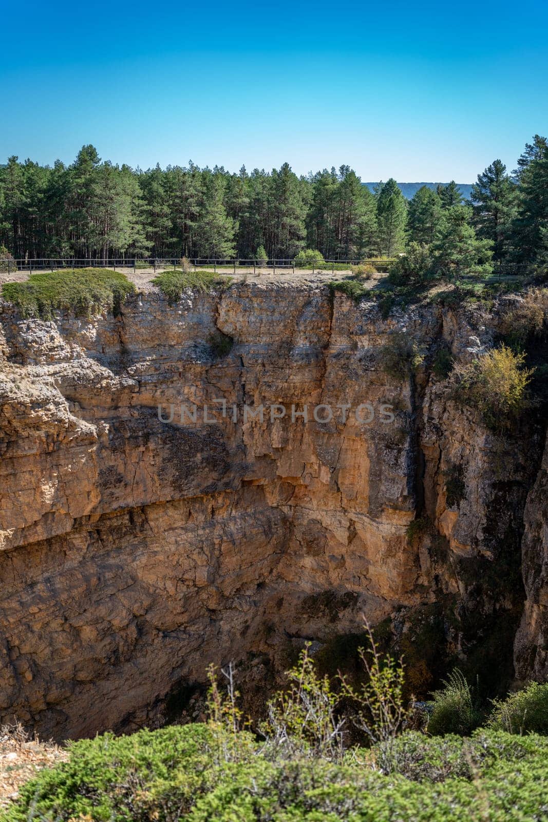 Sunny cliff face beside dense forest under a clear blue sky