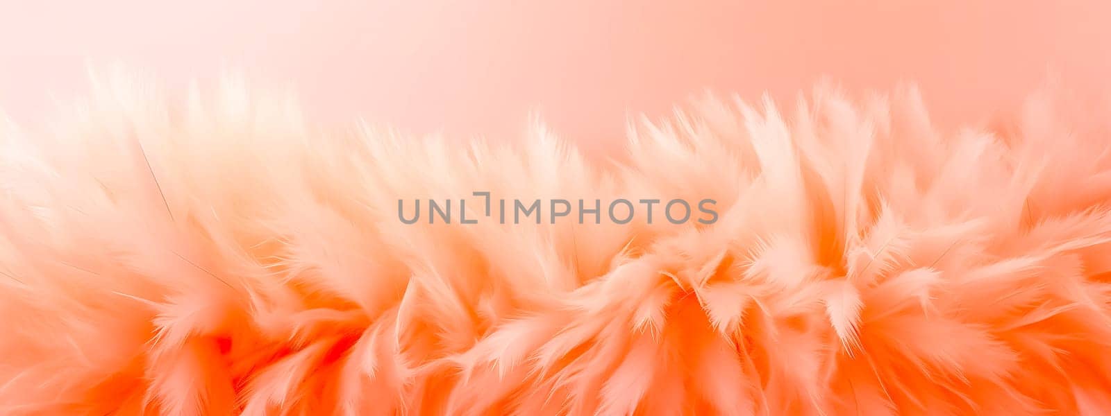 bird feather structure in detail, banner in peach color 2024, banner by Edophoto