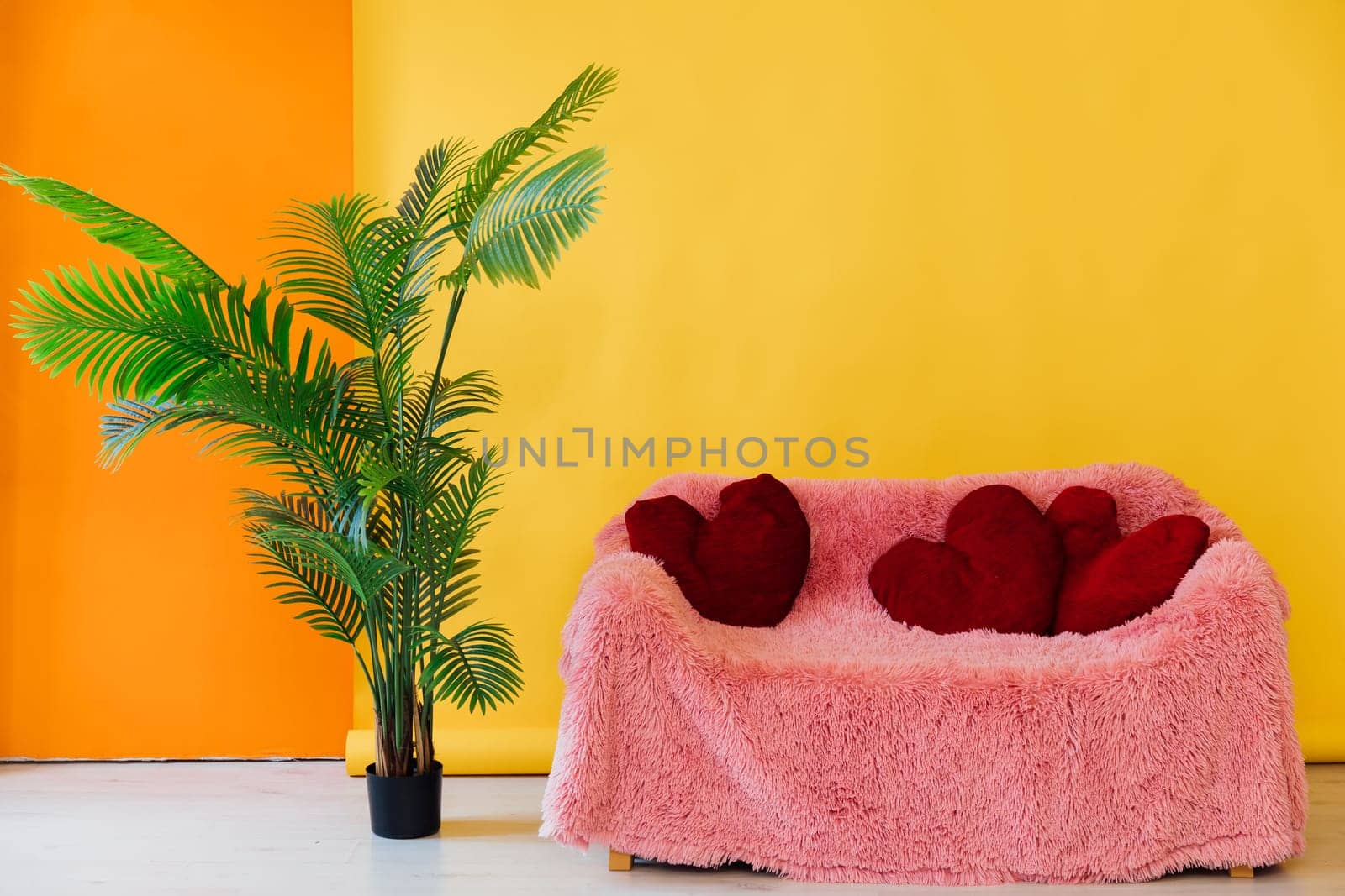 Pink sofa and palm tree in yellow room interior