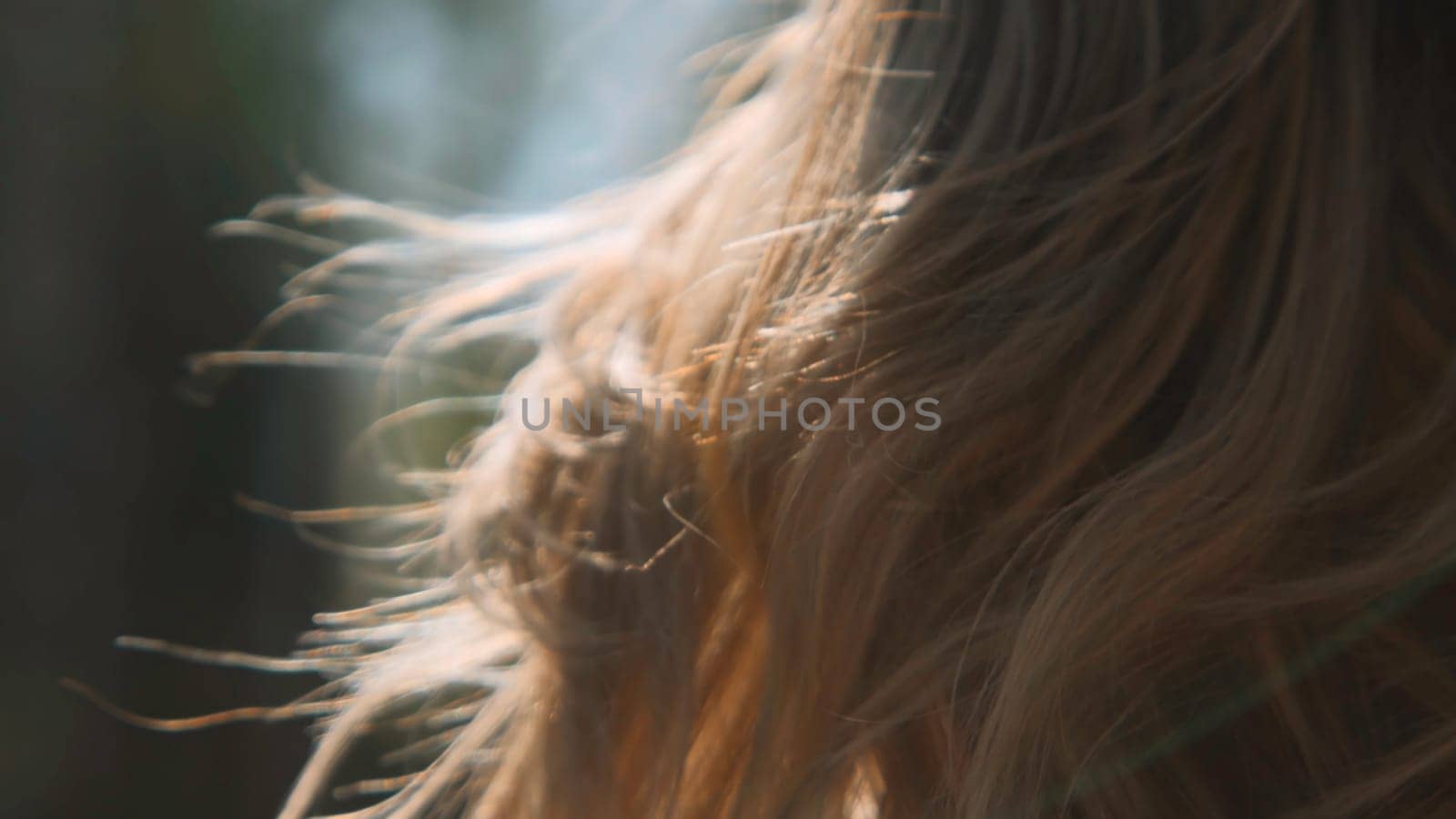 Close-up rear view of beautiful blonde hair in nature. Stock footage. Beautiful blonde woman's hair with sunny summer rays. Blonde woman with wavy hair in forest on sunny summer day.