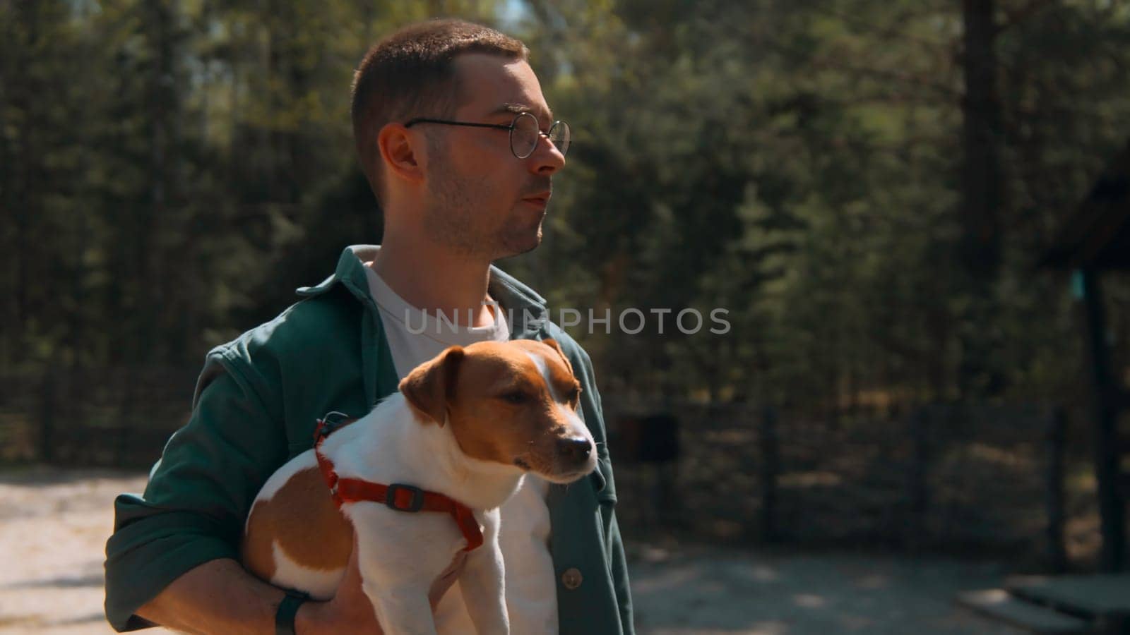 Man holds dog in hands in woods. Stock footage. Man holds Jack Russell terrier in arms. Man holds dog in arms in park on sunny summer day.