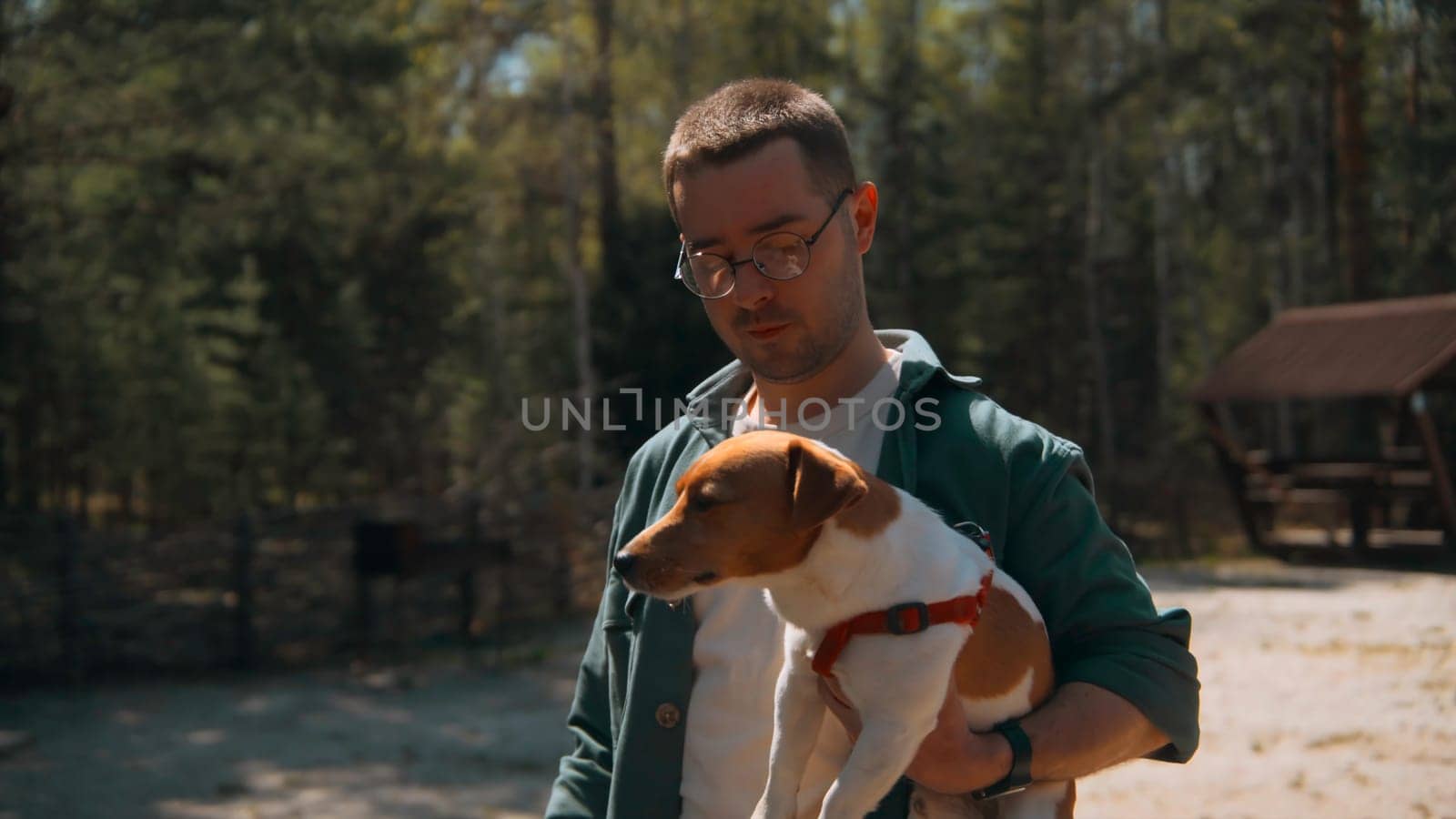 Man holds dog in hands in woods. Stock footage. Man holds Jack Russell terrier in arms. Man holds dog in arms in park on sunny summer day.