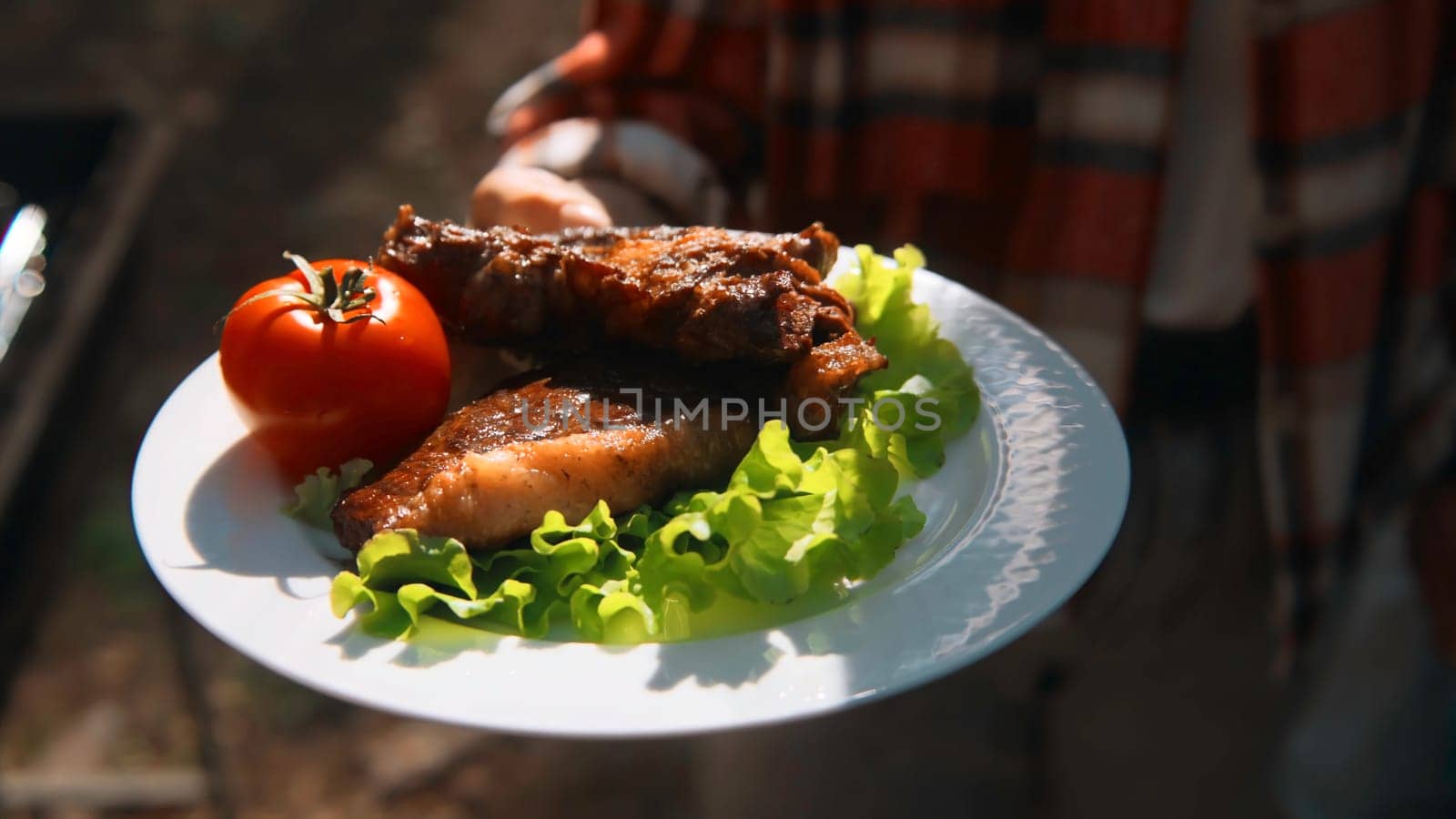 Close-up of plate with barbecue meat and vegetables. Stock footage. Bright food on plate with grilled meat and vegetables on sunny summer day. Woman holds plate with barbecue in nature on summer day.
