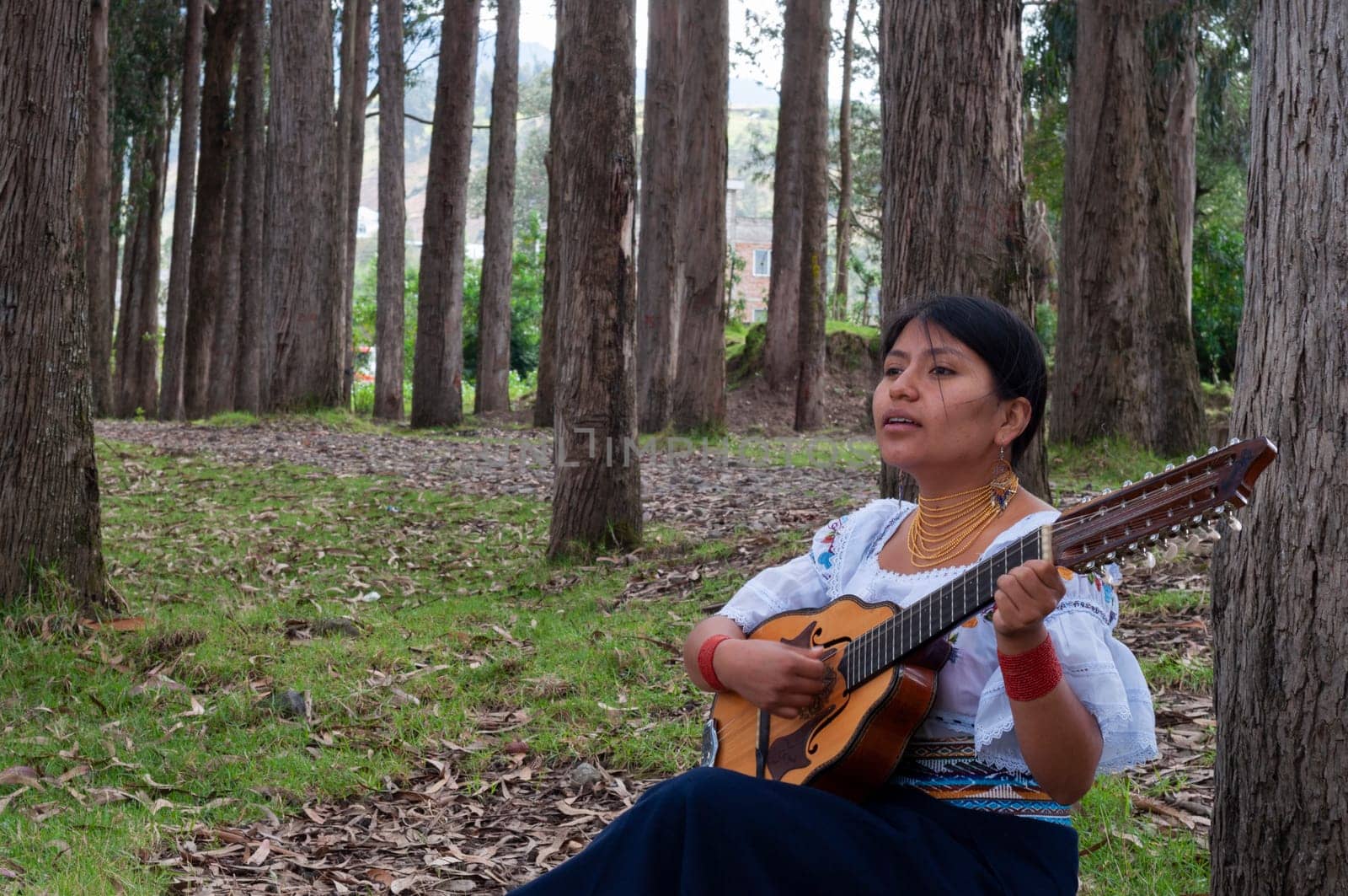copy space of an indigenous girl from ecuador sitting singing and playing a mandolin in the middle of the forest . music day . High quality photo