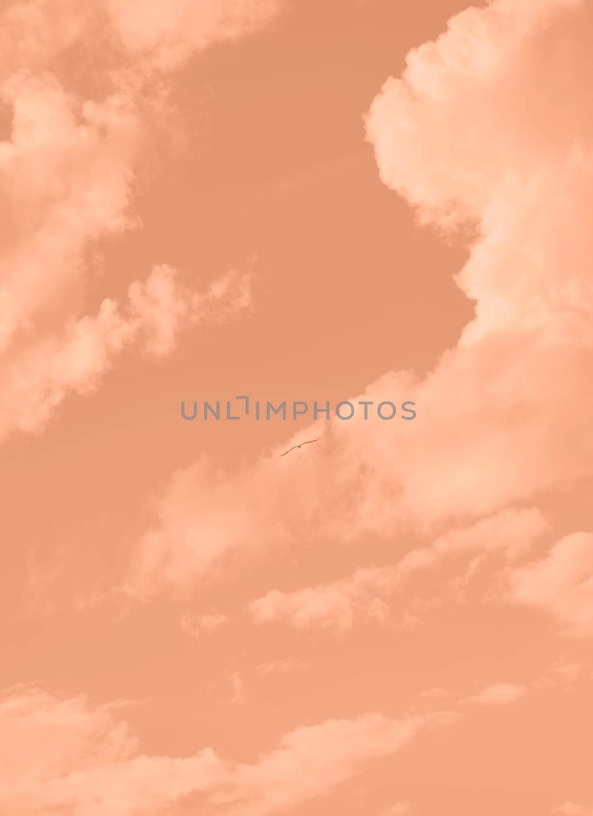 Peach Fuzz toned sky and clouds. Monochrome background 2024 color of the year. by kizuneko