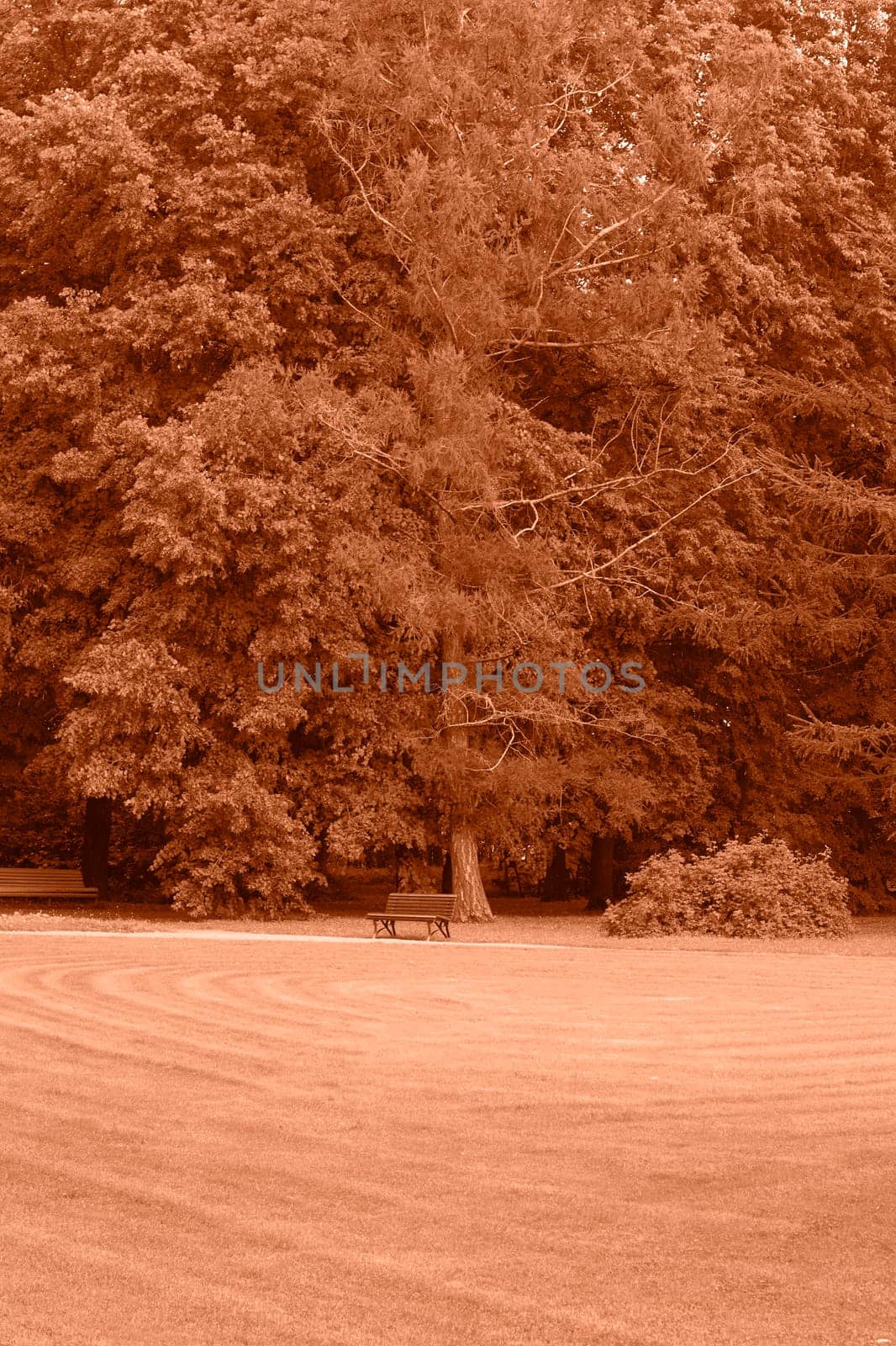 Peach Fuzz toned colour park landscape. Garden monochrome background. Trendy color 2024. by kizuneko