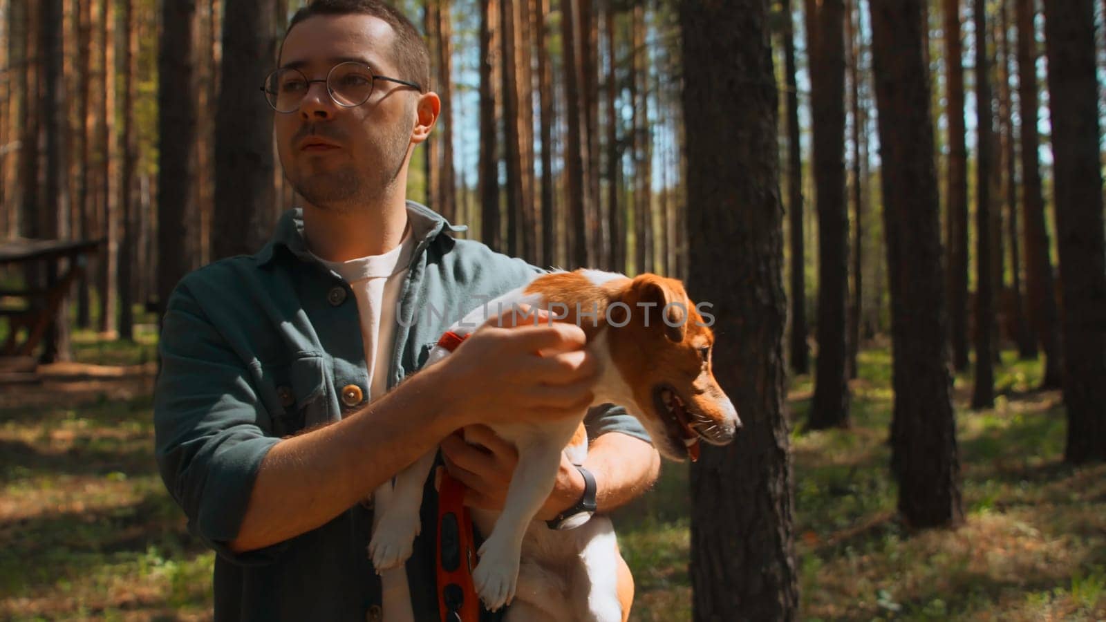 Man holds and strokes dog in arms. Stock footage. Man holds dog and strokes it to calm it down. Man holds dog in arms in forest on sunny summer day.