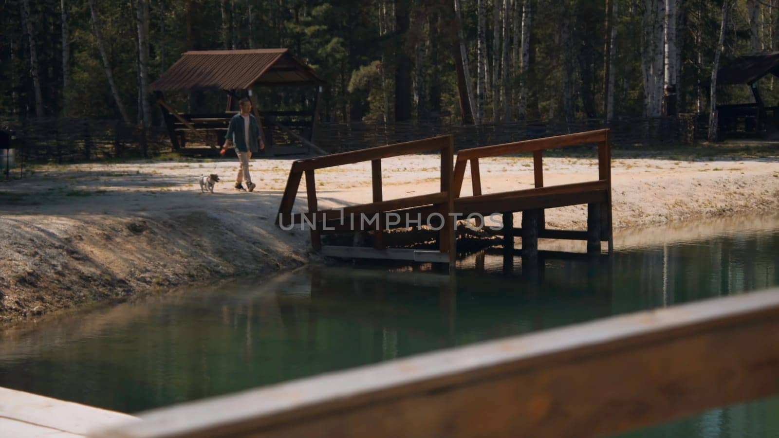 Man walks with dog at pier of lake. Stock footage. Man brought dog to pier by pond in forest. Man walks with dog at recreation center by lake in summer.