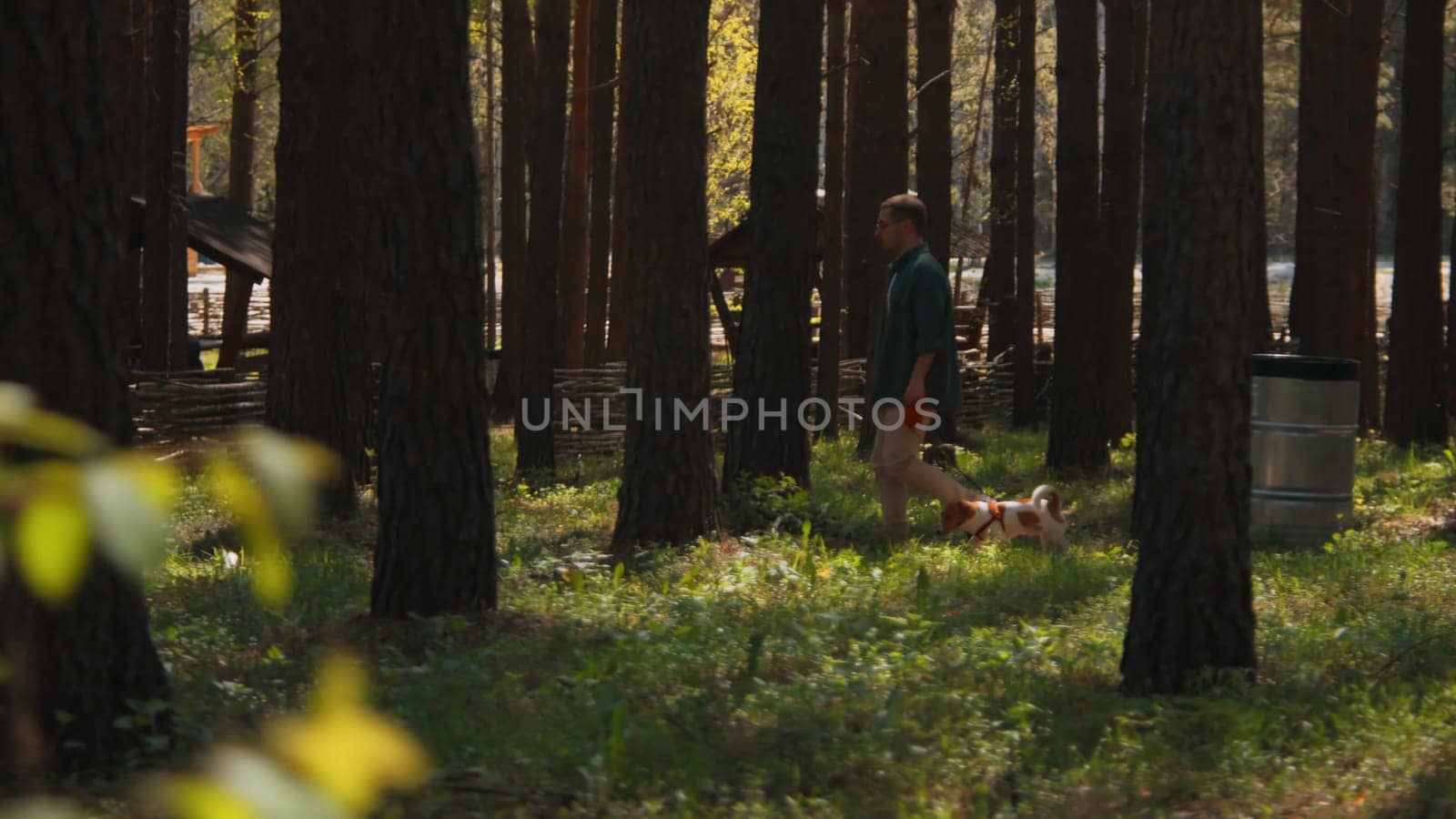 Man walks with dog in park on summer day. Stock footage. Man walks dog on leash in woods on sunny summer day. Man walks with Jack Russell terrier at recreation center in woods.