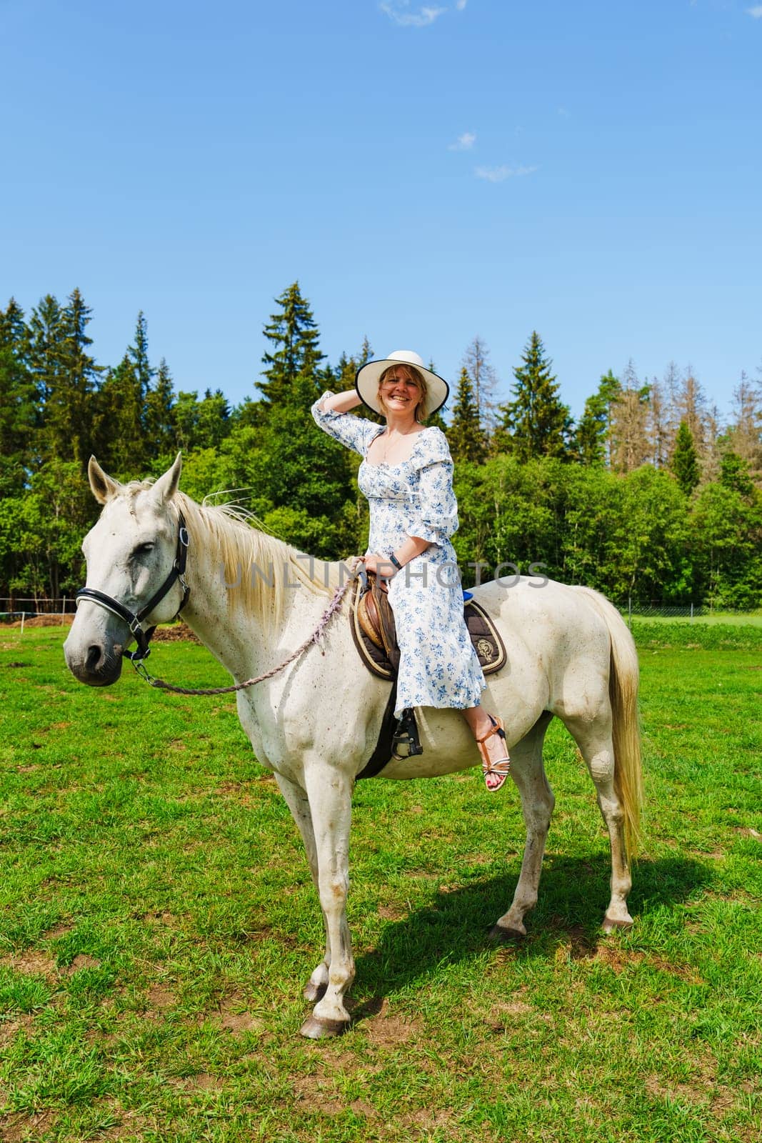 A serene and tranquil scene of a young woman riding a magnificent white horse in the golden glow of a sunlit summer day, with lush greenery in the background.