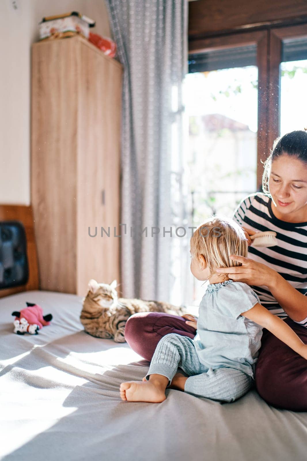 Mom combs the hair of a little girl sitting in front of her and turned to a tabby cat by Nadtochiy