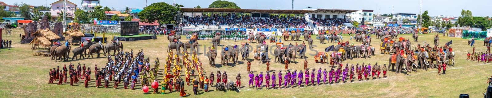 Surin Elephant roundup festival 17 november 2023. High quality photo