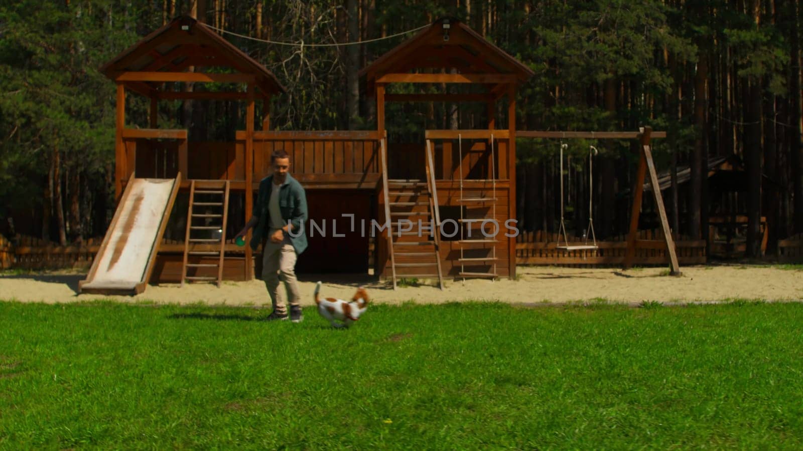 Man plays ball with dog on grass in park. Stock footage. Man plays ball with puppy on sunny summer day. Man plays ball with Jack Russell Terrier in park in summer by Mediawhalestock