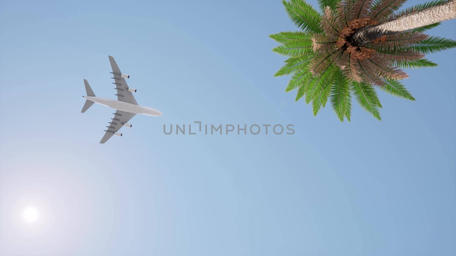 Plane flies against the palm and sun clear blue sky 3d render