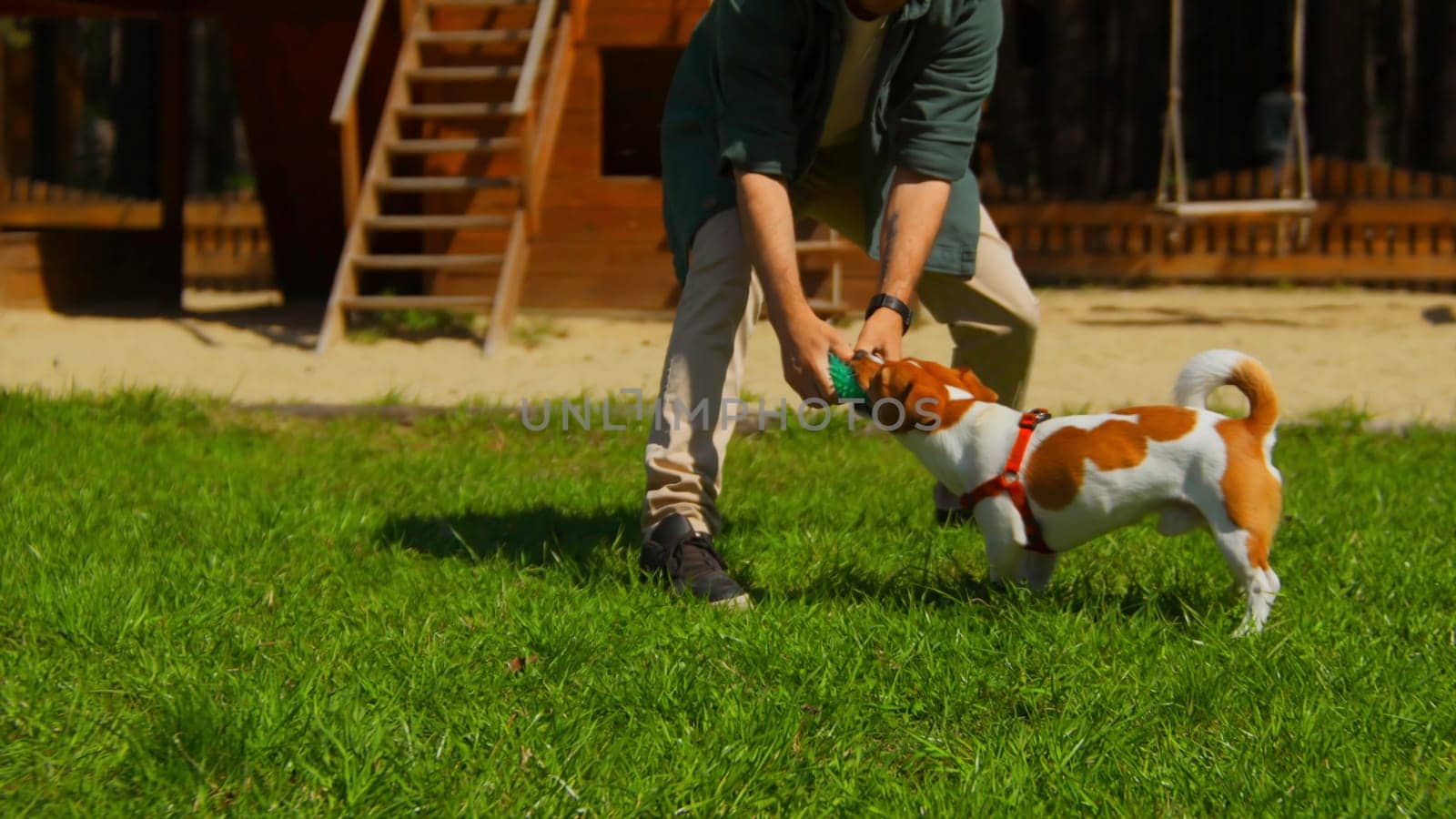 Man is actively playing with dog on grass. Stock footage. Active recreation with dog in park on sunny summer day. Man plays ball with dog on green grass in park.