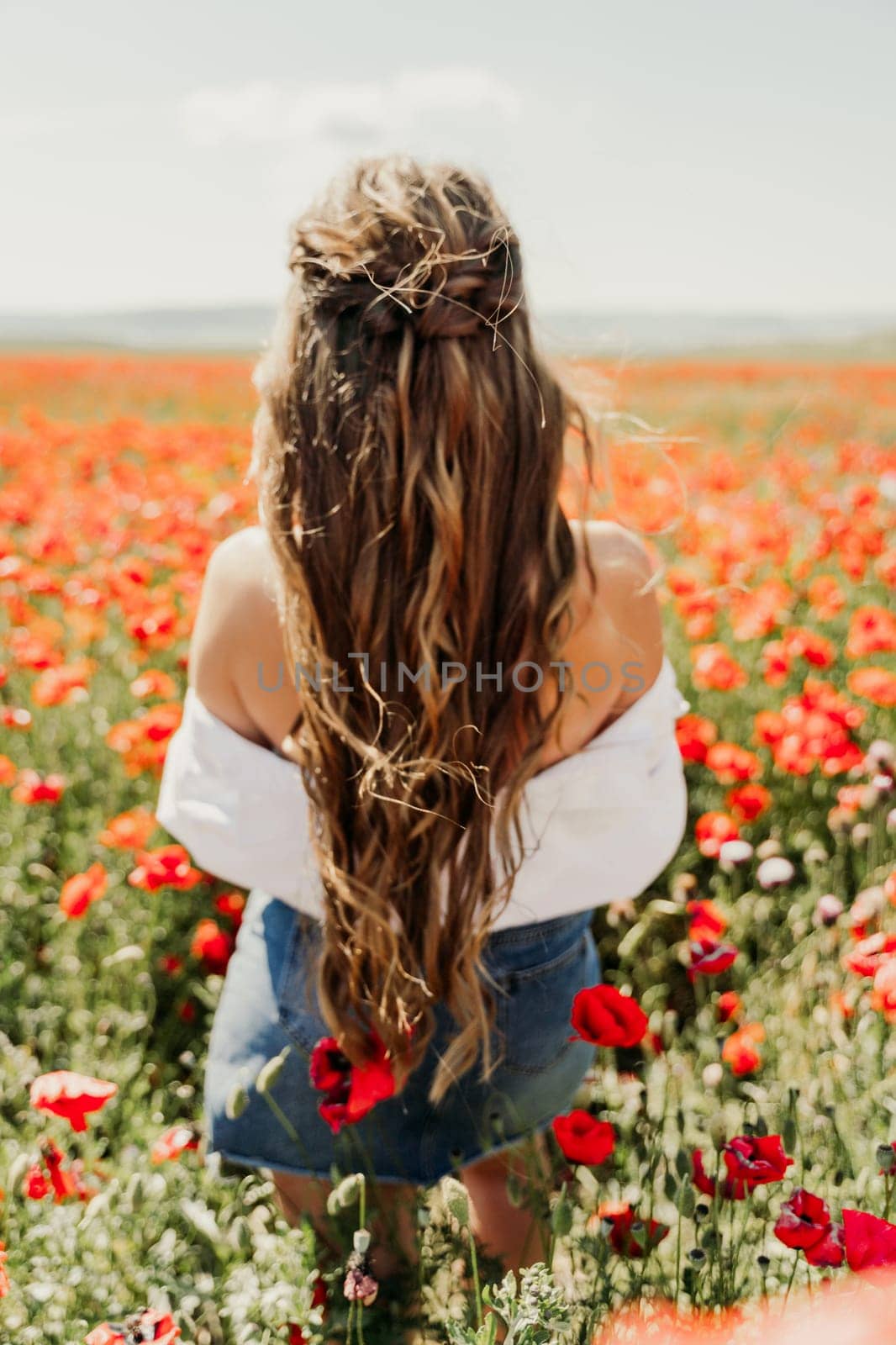 Woman poppies field. Back view of a happy woman with long hair in a poppy field and enjoying the beauty of nature in a warm summer day