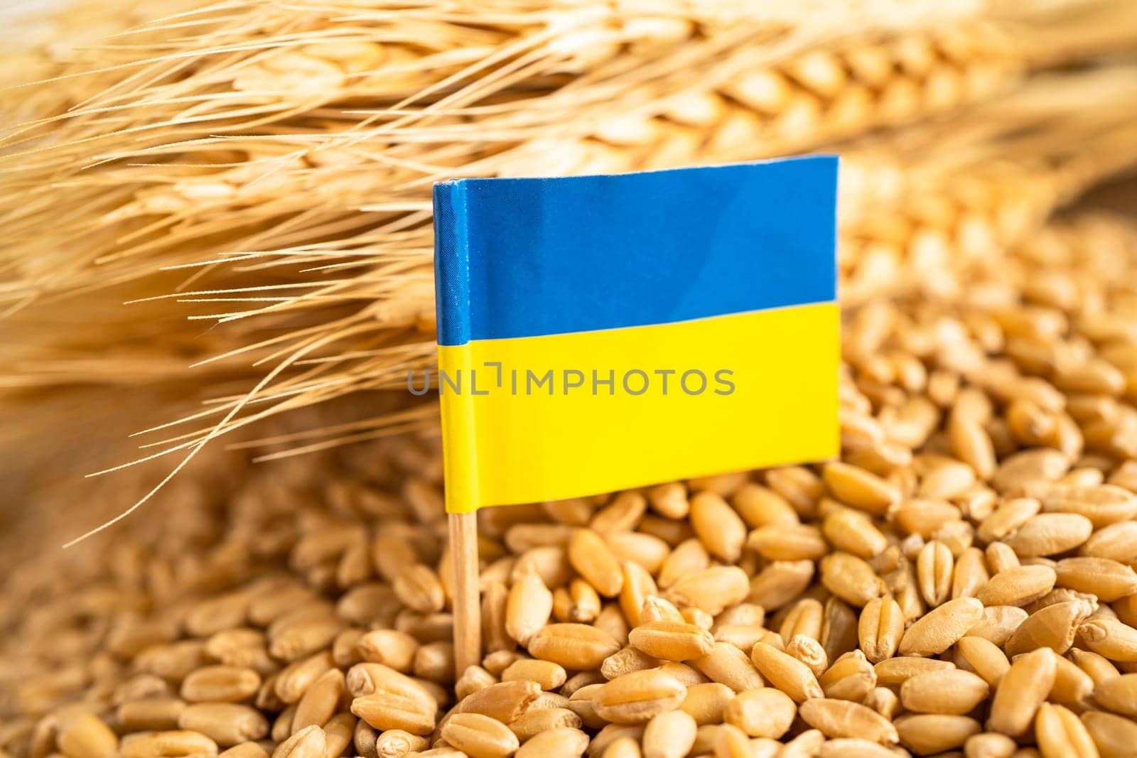 Grains wheat with Ukraine flag, trade export and economy concept. by pamai