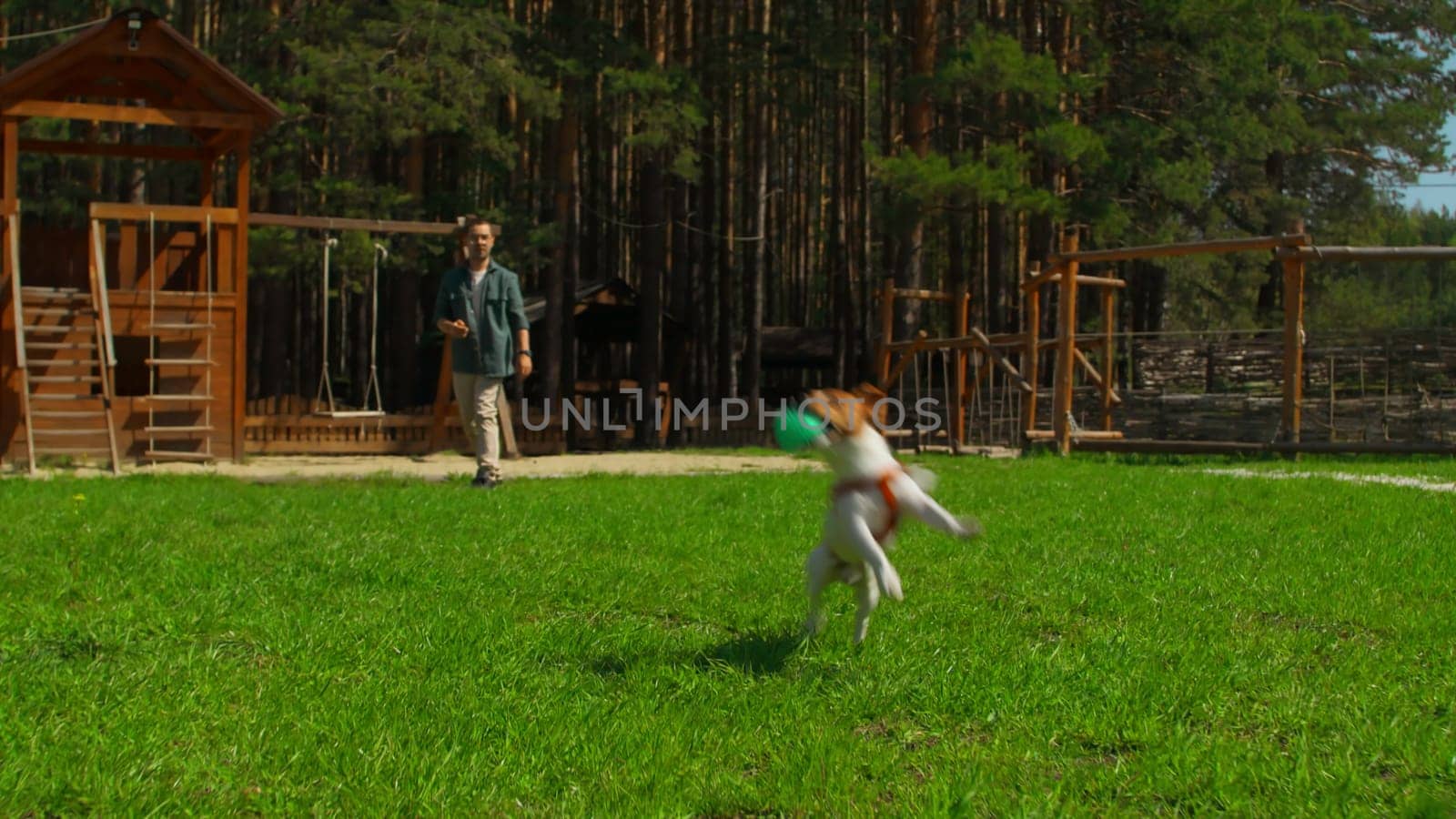 Man throws ball to dog. Stock footage. Man is playing ball with dog on green grass with recreation area. Man throws game ball to dog on sunny summer day by Mediawhalestock