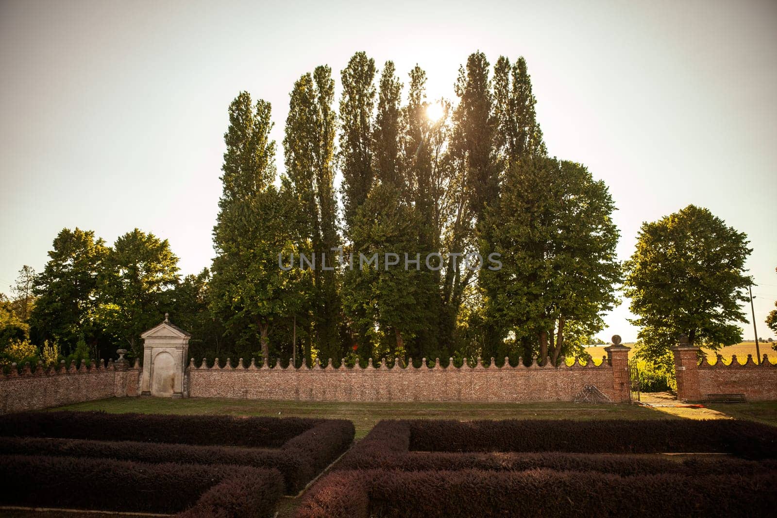 Garden Detail of Villa Badoer by pippocarlot