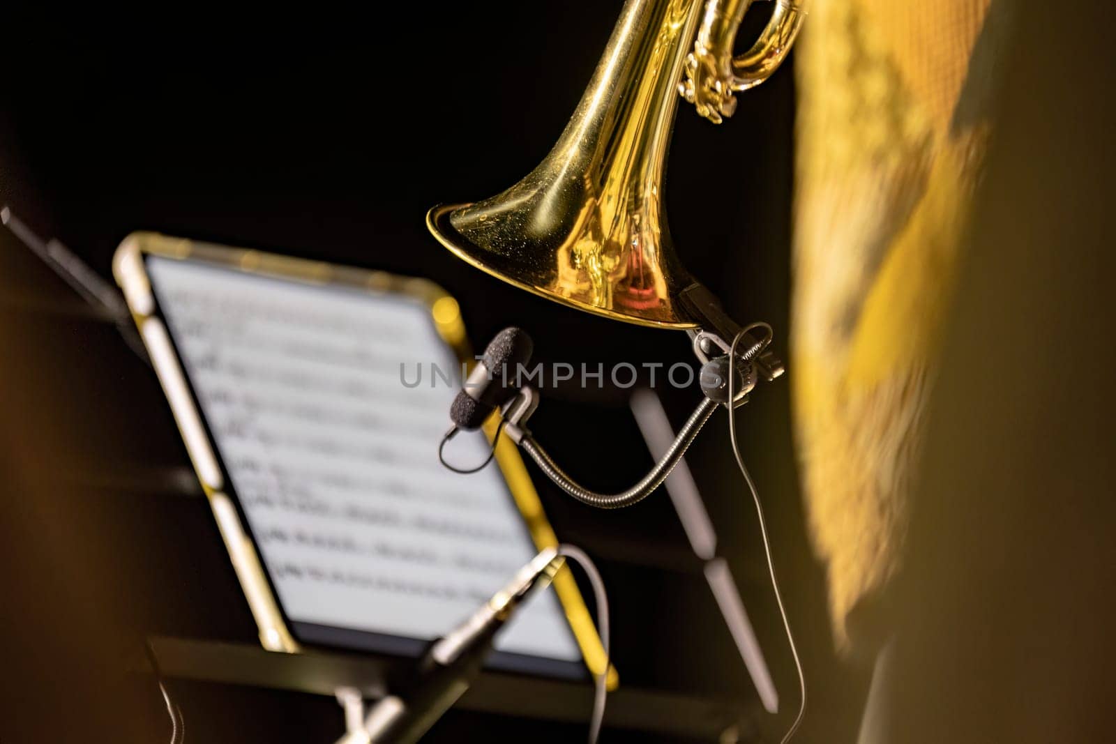 Close-up of a musician's hands playing the trumpet during a vibrant live performance at night