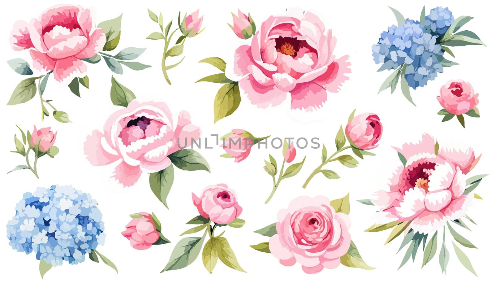 Pink Peonies on white isolated background. Watercolor flowers. Watercolor by EkaterinaPereslavtseva