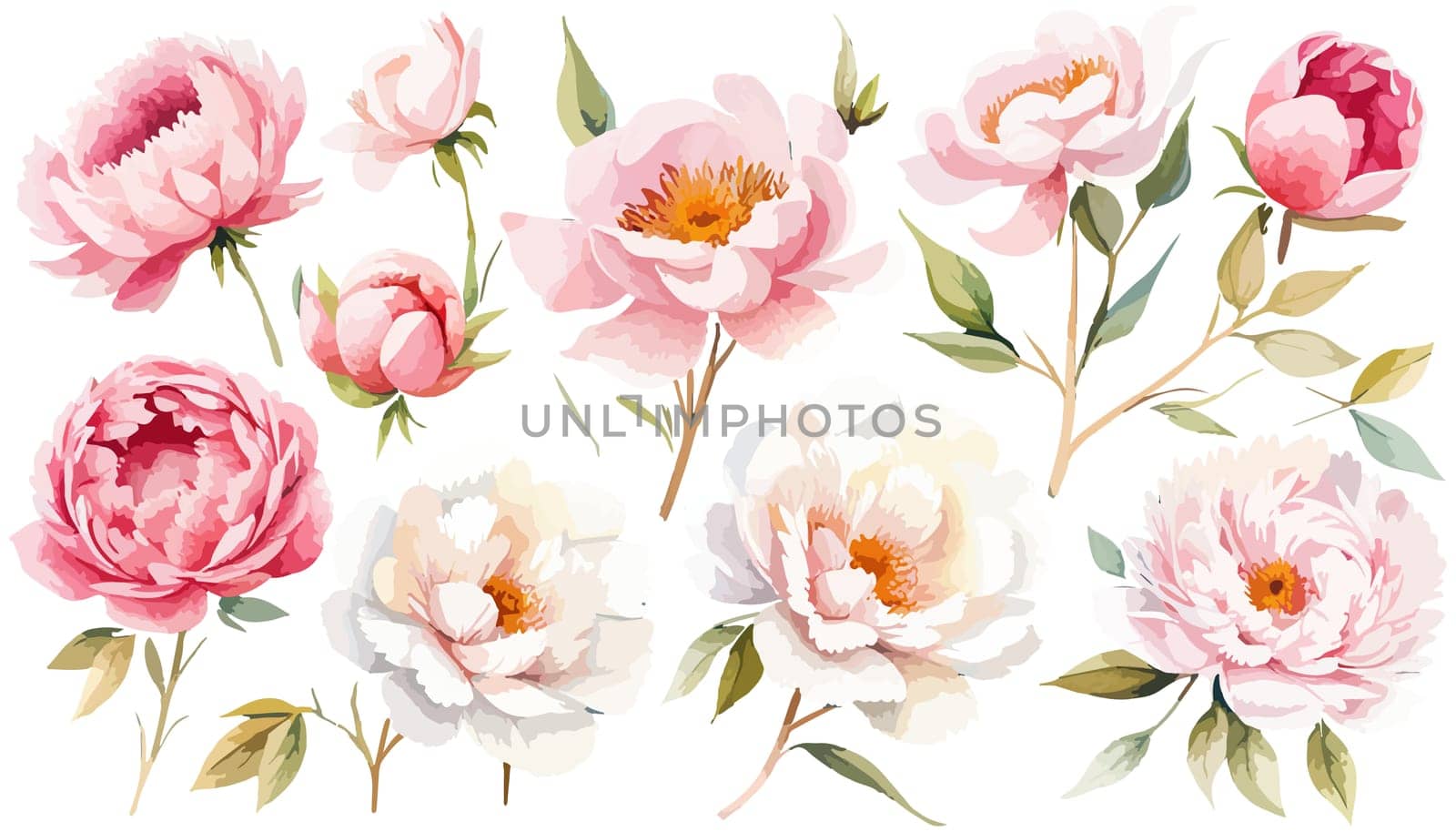 Watercolor hot pink peony flowers bouquet. Floral arrangement for card, invitation, decoration. Illustration isolated on white background