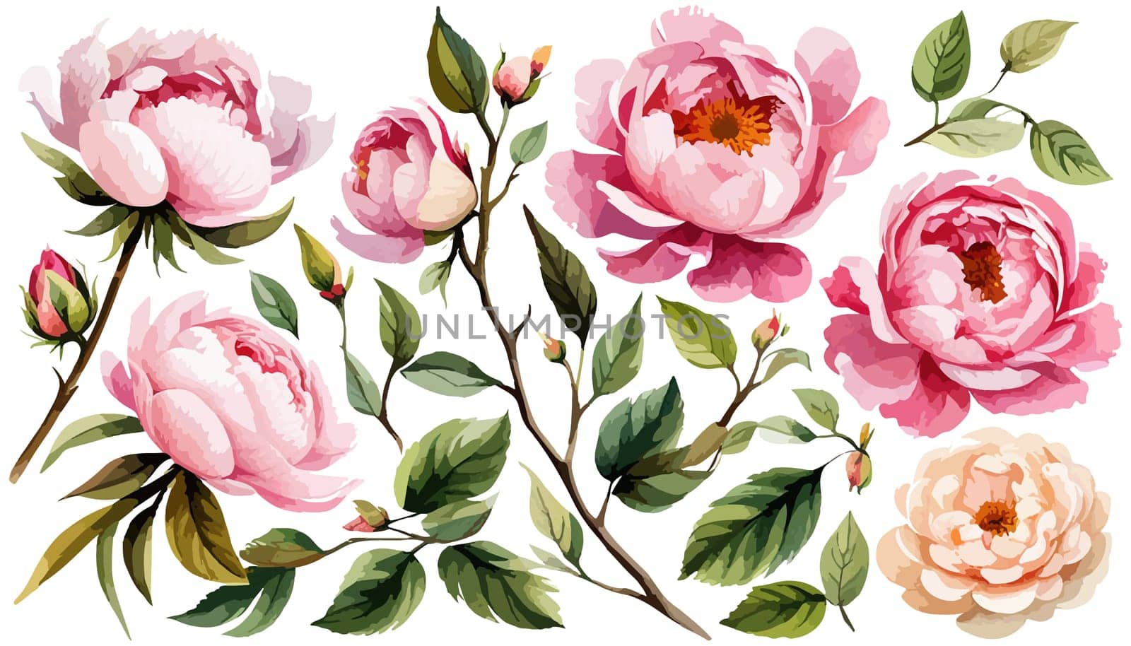 Watercolor floral set. Pink peonies flower, green leaves individual elements collection for bouquets, wreaths, wedding invitations, anniversary, birthday, postcards, greetings. illustration