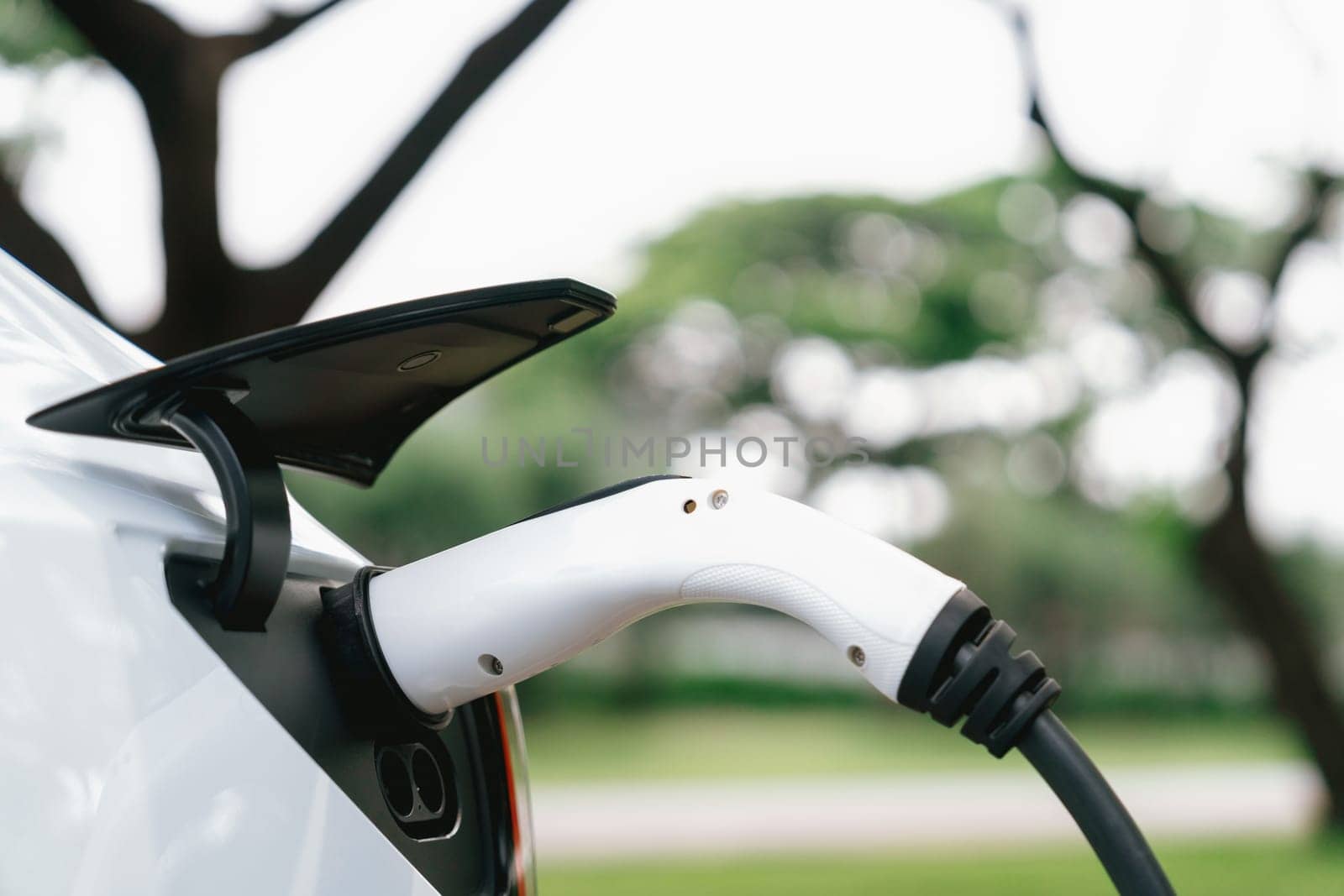 EV electric vehicle recharging battery from EV charging station in outdoor green city park scenic. Natural protection with eco friendly EV car travel. Exalt