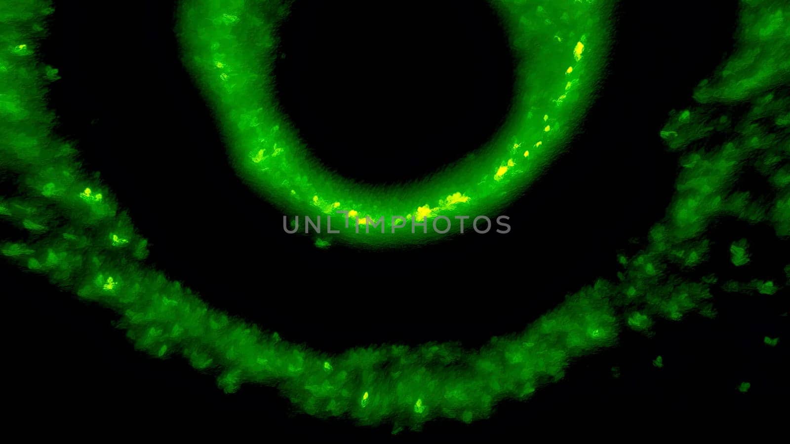 Black background with bright green rings. Motion. Blurring in different directions are two rings made in abstraction. High quality 4k footage
