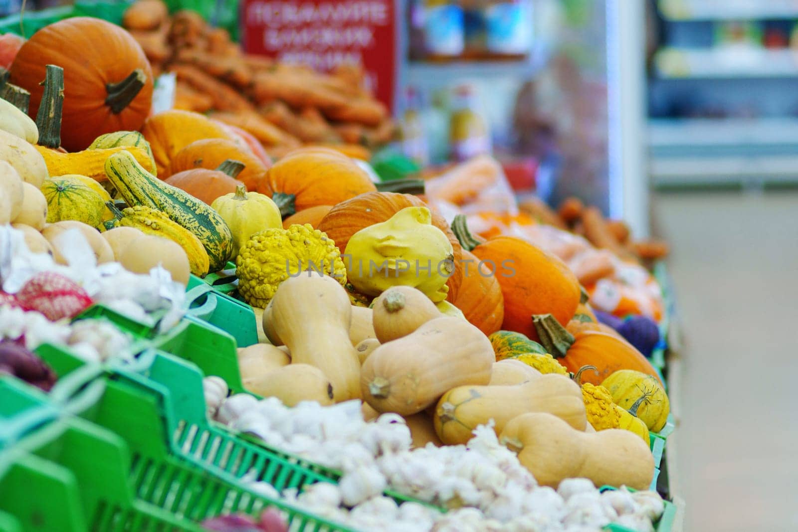 Colorful Harvest: Assorted Vegetables in Baskets. Selling ugly vegetables. Selective focus by darksoul72