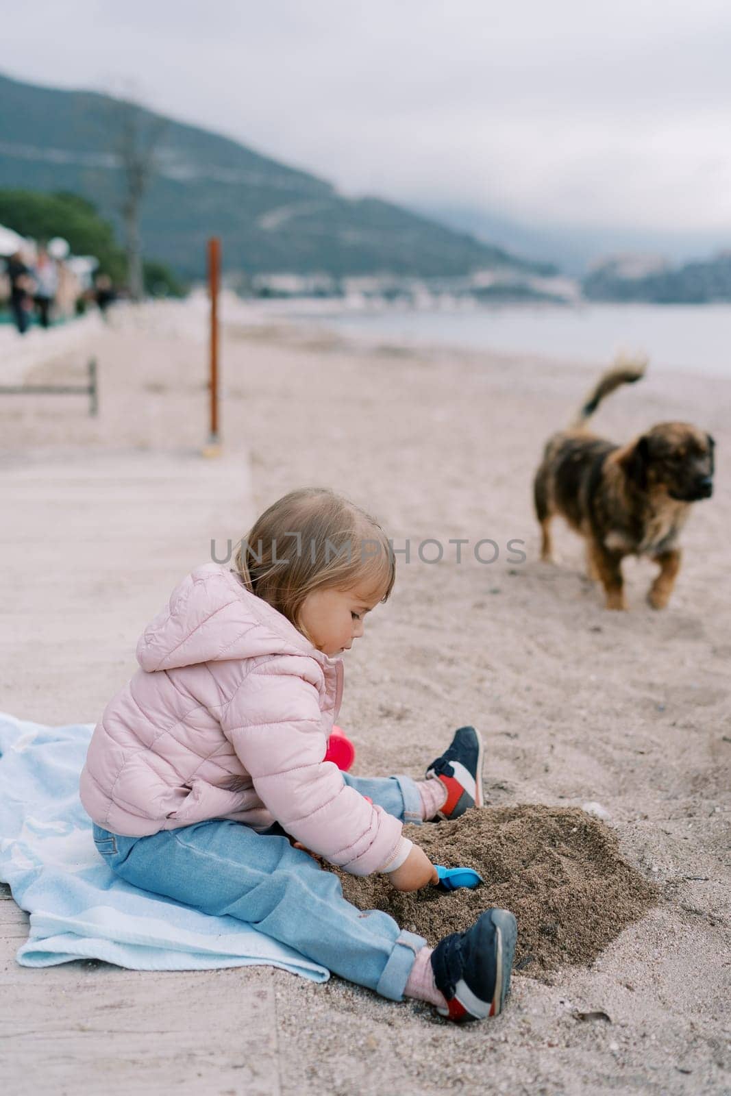 Little girl is digging a hole in the sand with a toy shovel while sitting on a blanket on the seashore. Side view by Nadtochiy