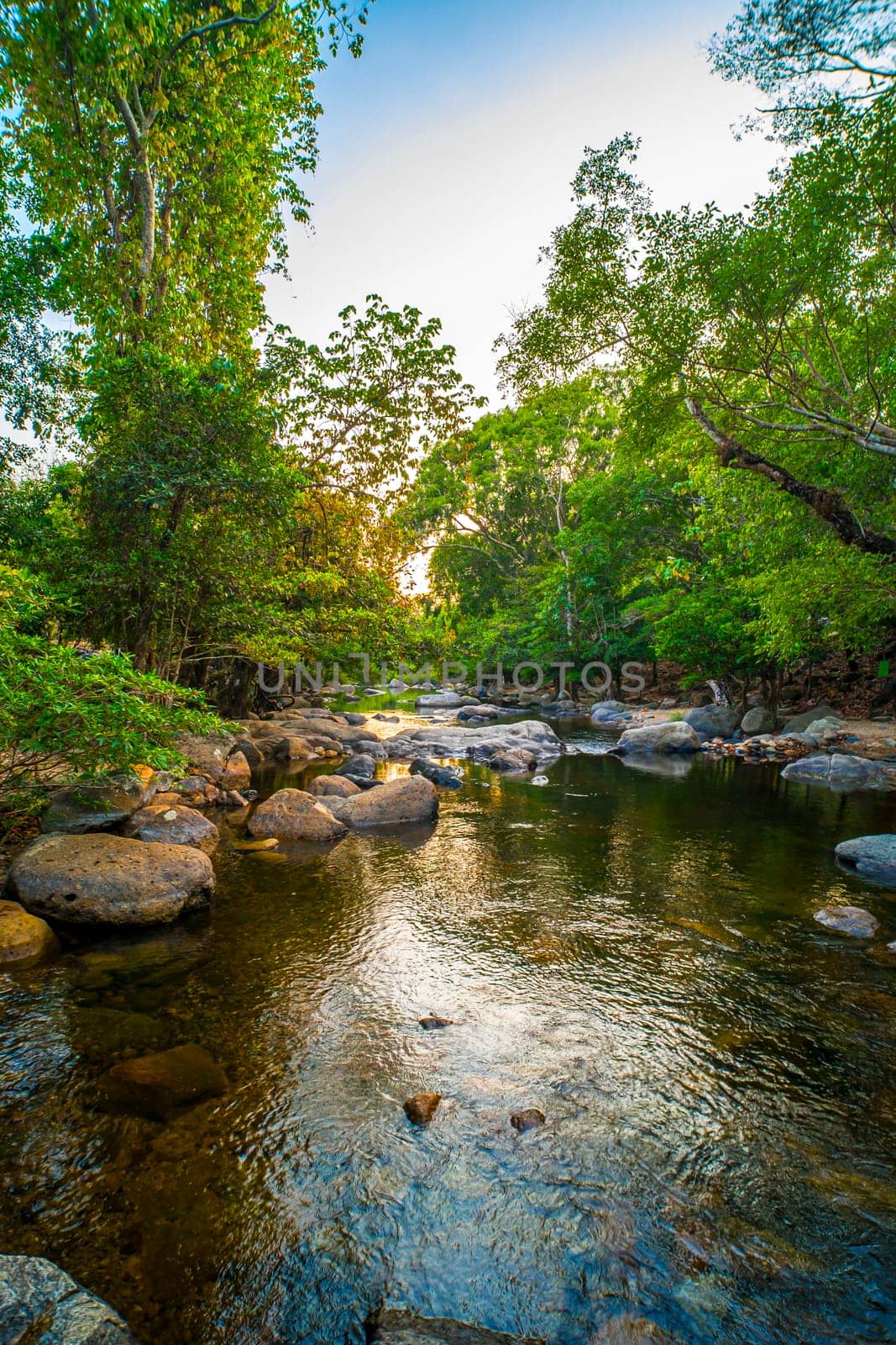 Emerald Elegance Serene Stream and Rocky Pebbles in the Deep Green Forest by Petrichor