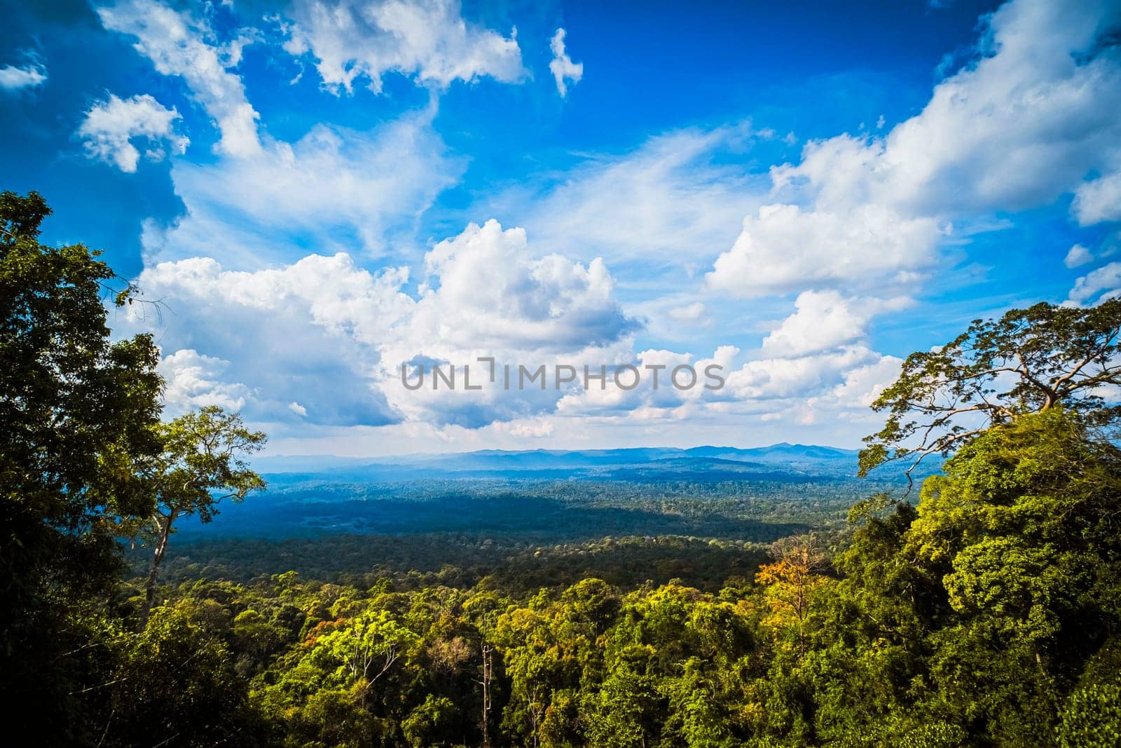 Majestic Mountain Solitude Serene Woodland Cliffscapes