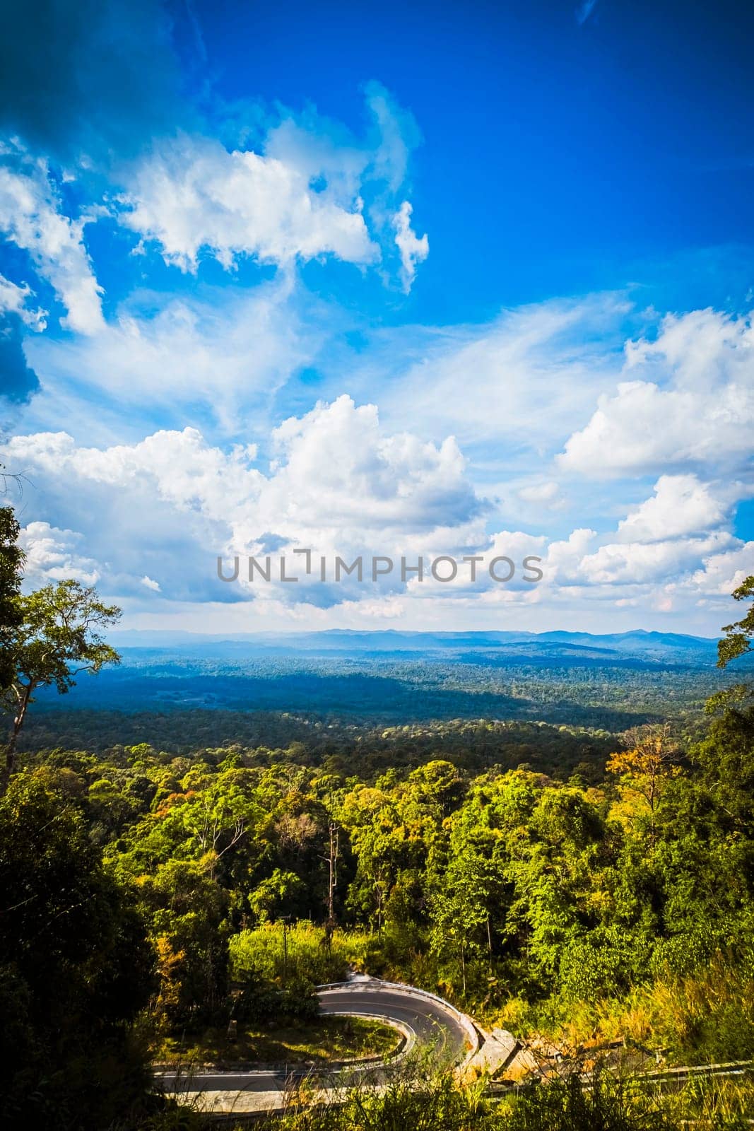 Majestic Mountain Solitude Serene Woodland Cliffscapes by Petrichor