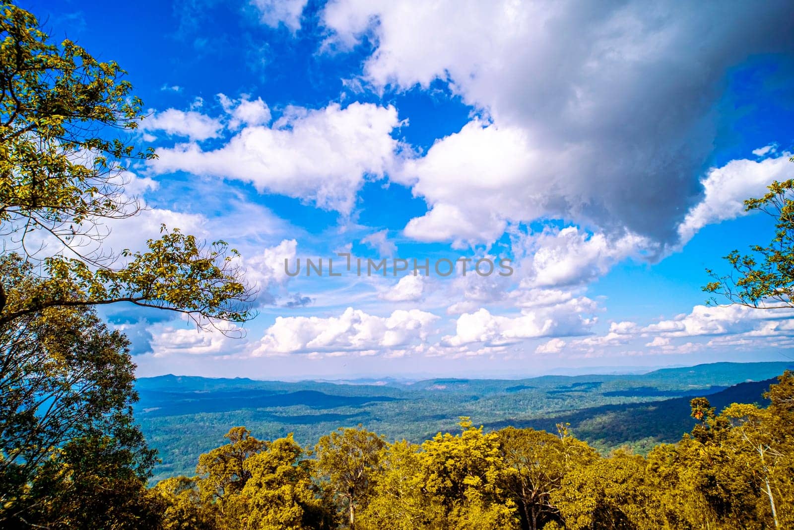 Majestic Mountain Solitude Serene Woodland Cliffscapes