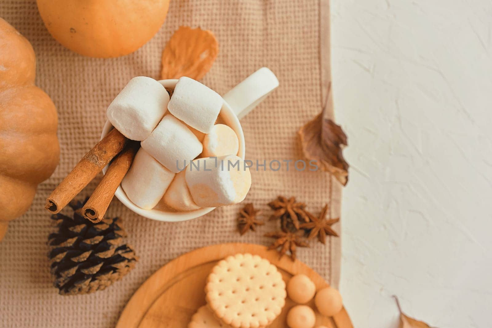 Pumpkin With Cups Of Coffee. Autumn still life from pumpkin, pine cones, mug of cocoa, coffee or hot chocolate with marshmallow on warm plaid with garland. Concept of cozy winter home environment