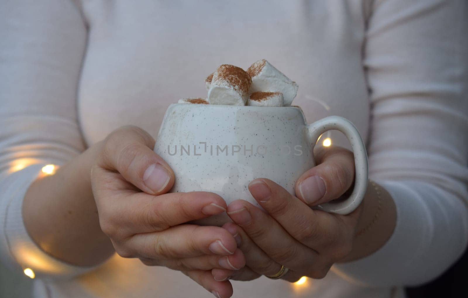 Hot cocoa with marshmallow on bokeh background.