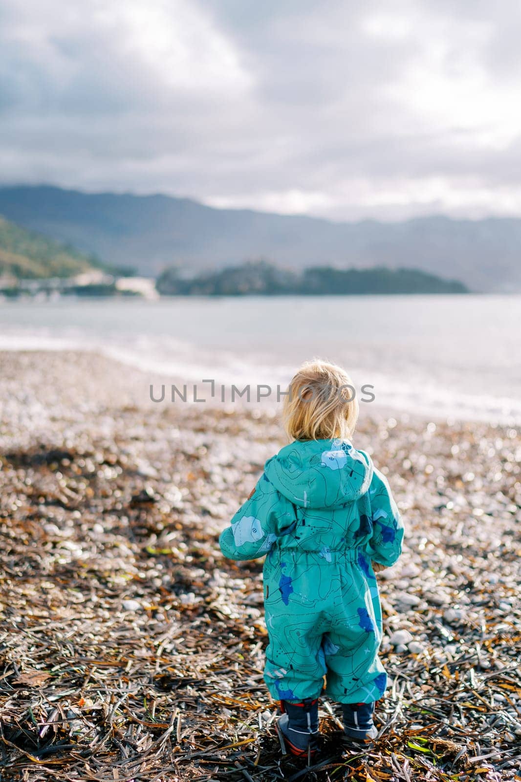Little girl in overalls stands on seaweed on the beach and looks at the sea. Back view. High quality photo
