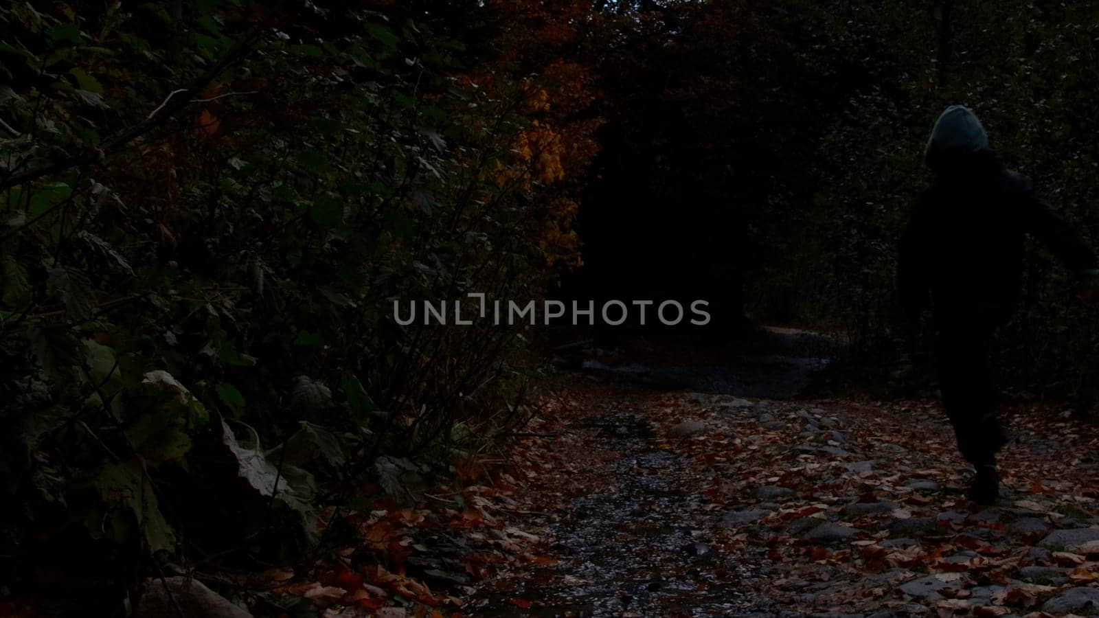 Autumn weather filmed in the park. Creative. A child running in the rain through puddles next to colorful deciduous trees. High quality 4k footage