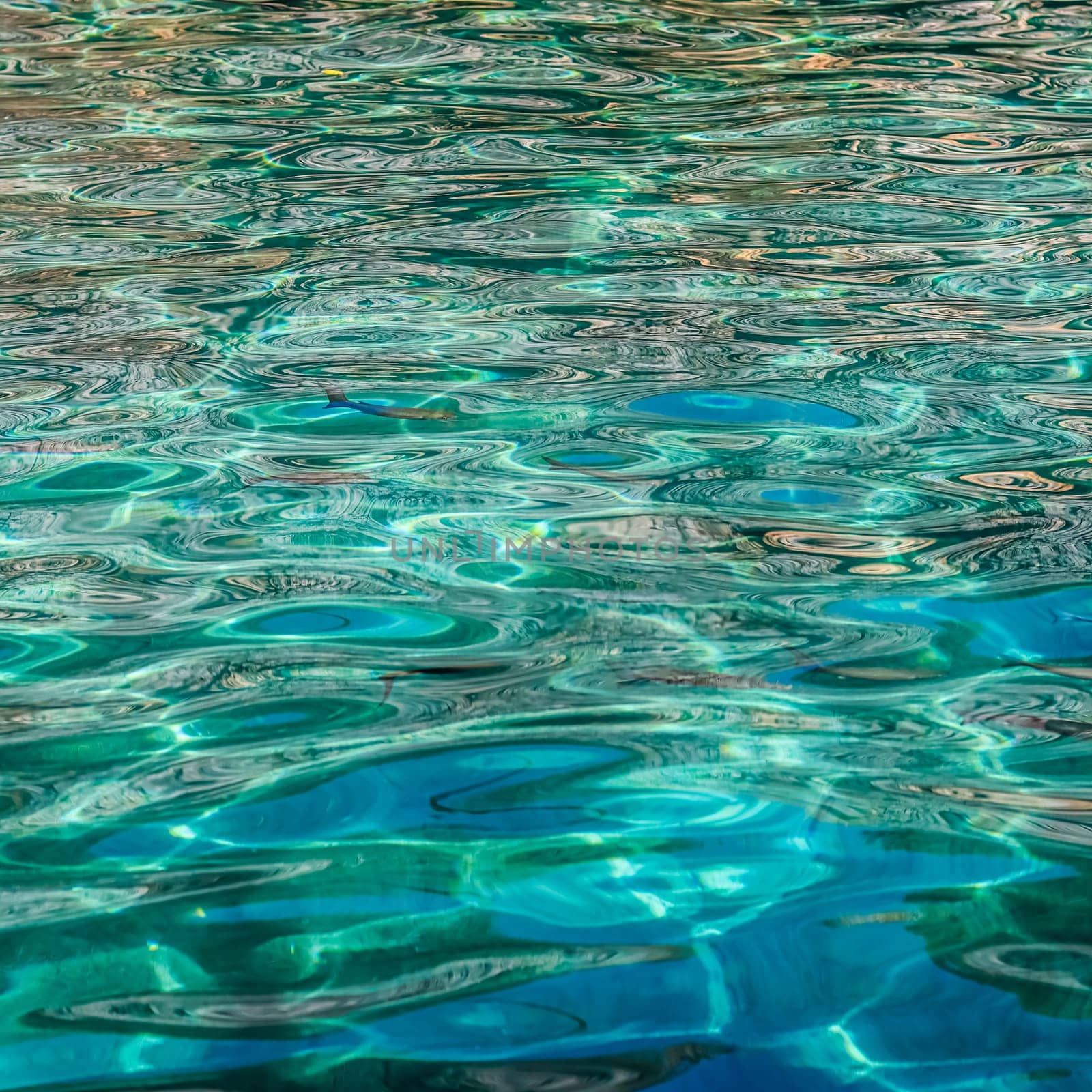 Emerald sea water in sunshine glow as surface background. Summer holidays concept