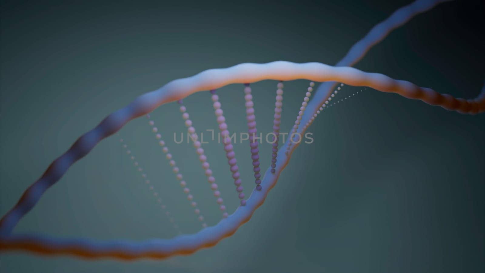 Black background with a DNA molecule. Design. Color animation in an approximate format moving in different directions. High quality 4k footage