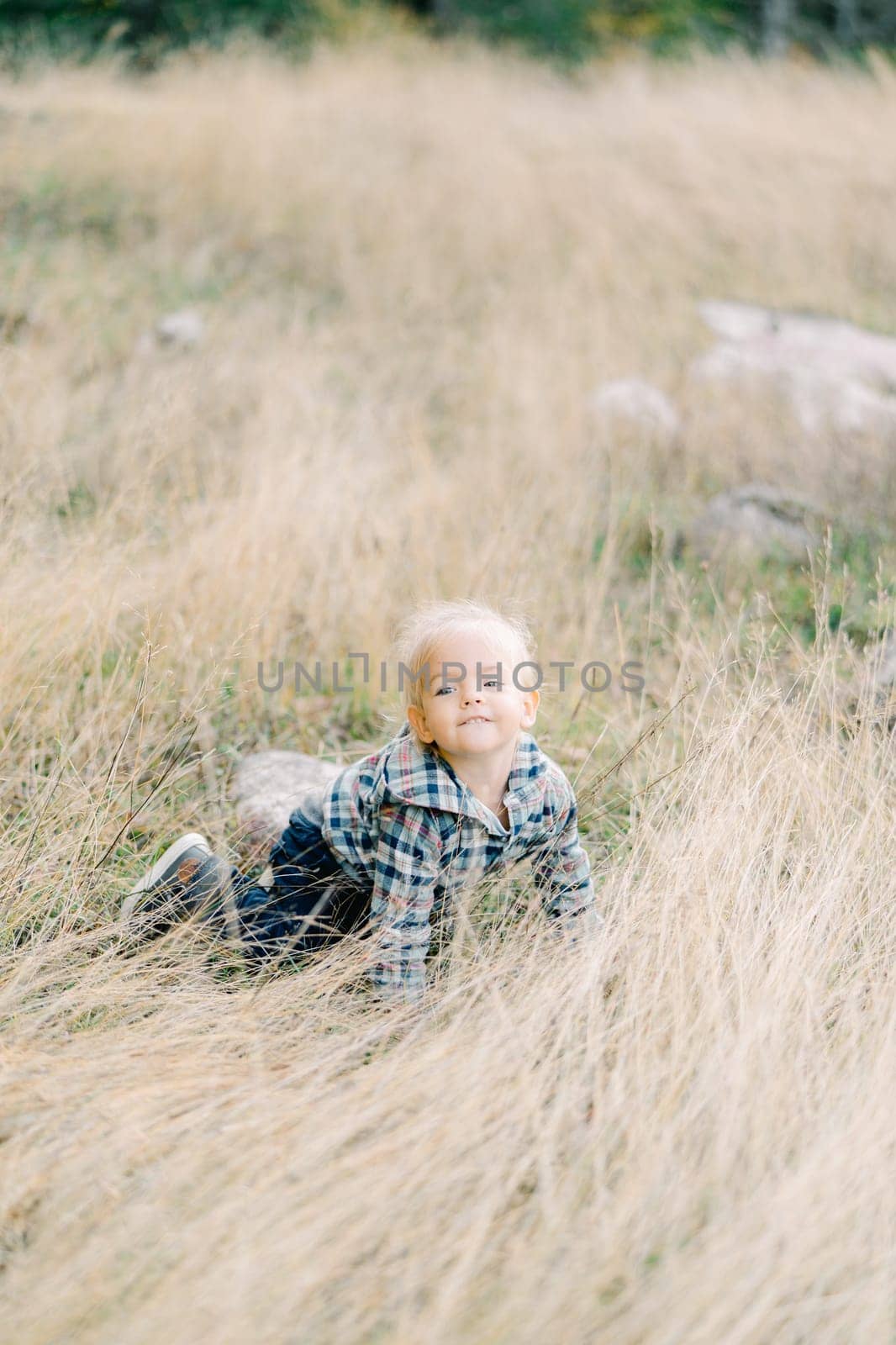 Little smiling girl stands on all fours in tall dry grass. High quality photo