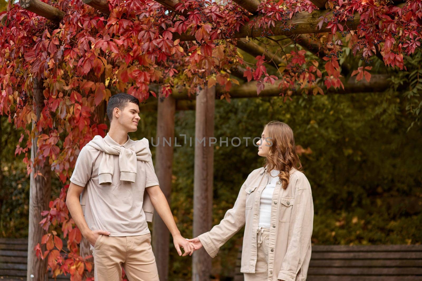 Young couple in love walking in the autumn park holding hands looking in the sunset. Loving couple holding hands while walking at sunset. The hands of the male and female lovers who hold hands walk forward high with blurred background by Andrii_Ko