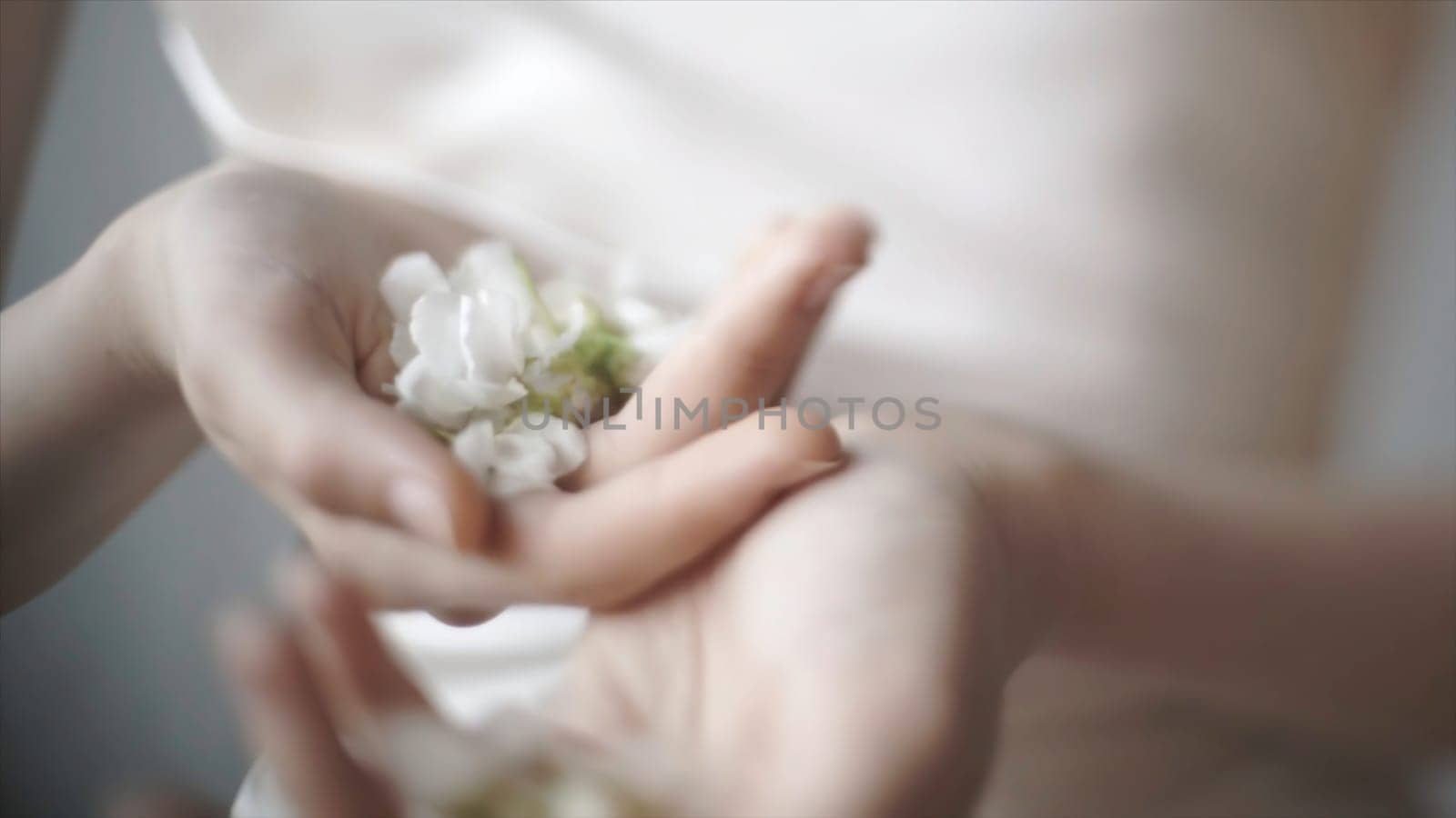 Close up of tender female hands holding white flower buds on blurred background, art concept. Model with soft flowers lying in her hands.